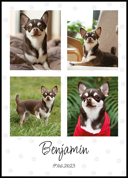 Collage di foto personali per animali domestici - Posterbox