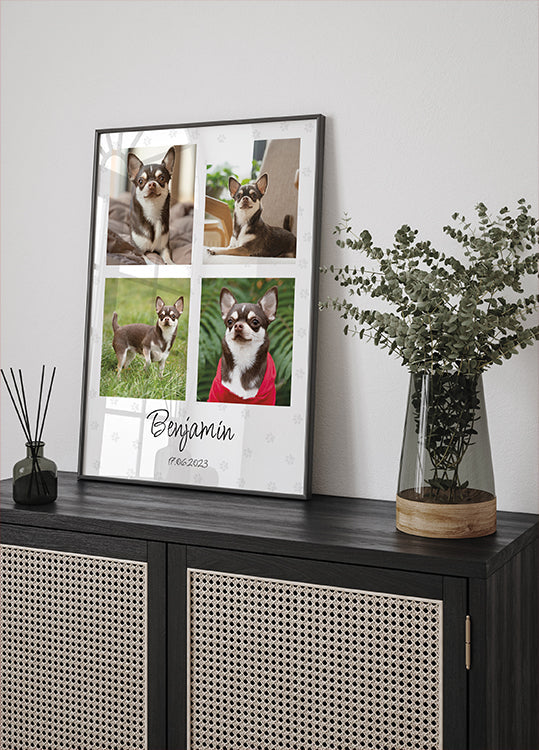 Collage di foto personali per animali domestici - Posterbox