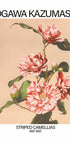 Striped Camellias Print, Ogawa Kazumasa Plakat - Posterbox.dk