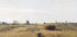 The Harvest by Charles-François Daubigny Plakat - Posterbox.dk