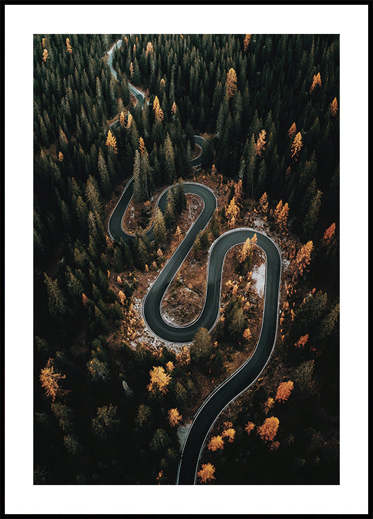 Winding Road in the Forest Plakat - Posterbox.dk