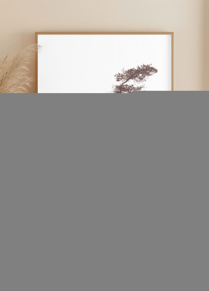 Poster di pini scultorei