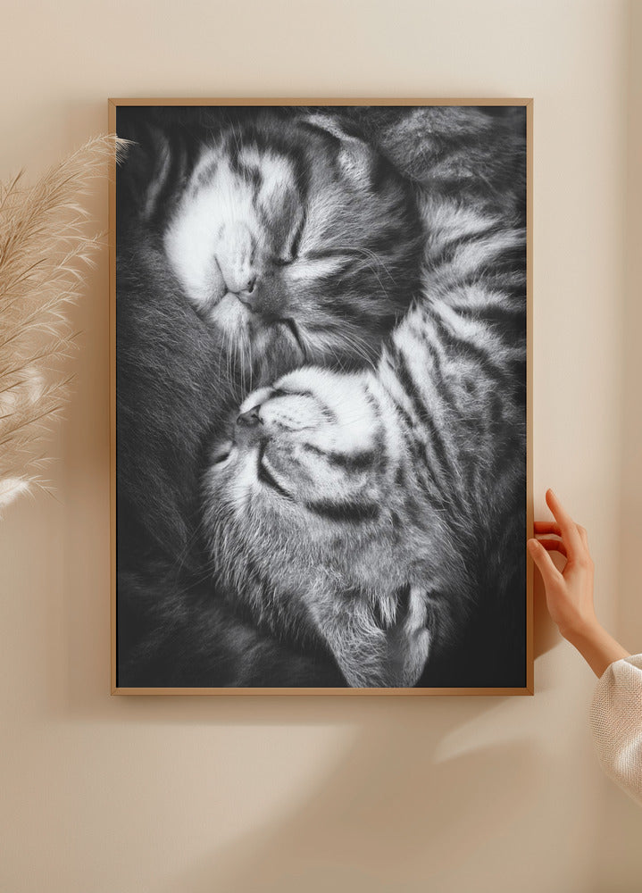 Manifesto Yin e Yang