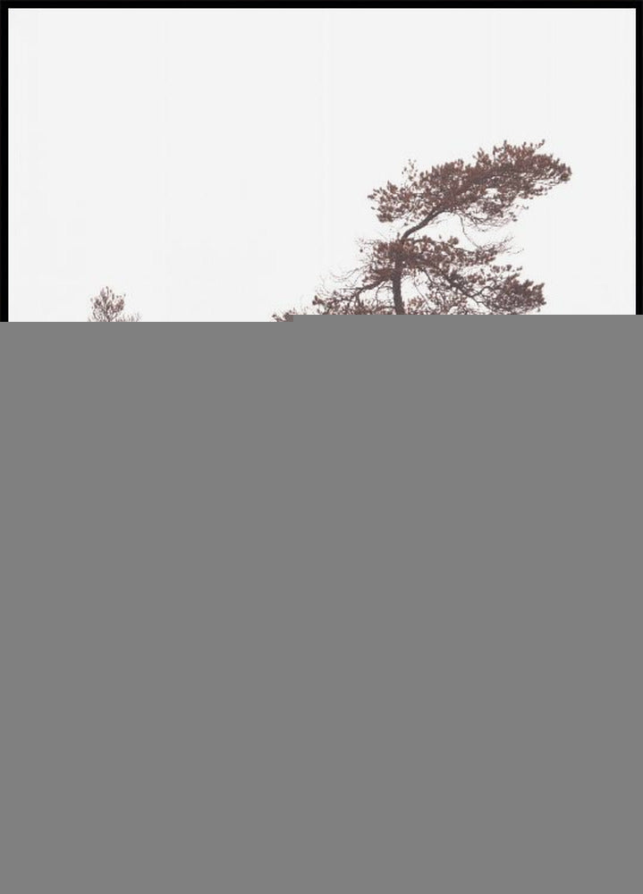 Poster di pini scultorei