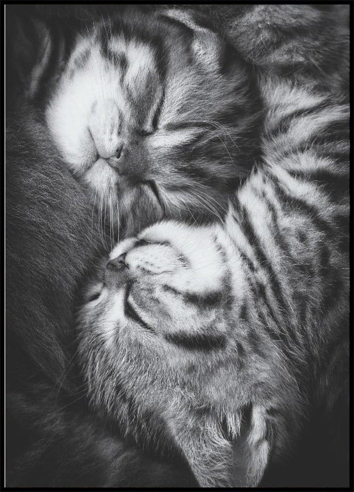 Manifesto Yin e Yang