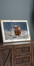 Snowy Highland cow - Posterbox