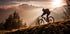Golden hour biking Plakat - Posterbox