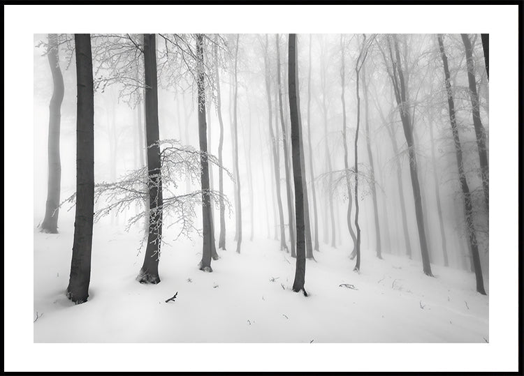 Silence of the forest Plakat - Posterbox