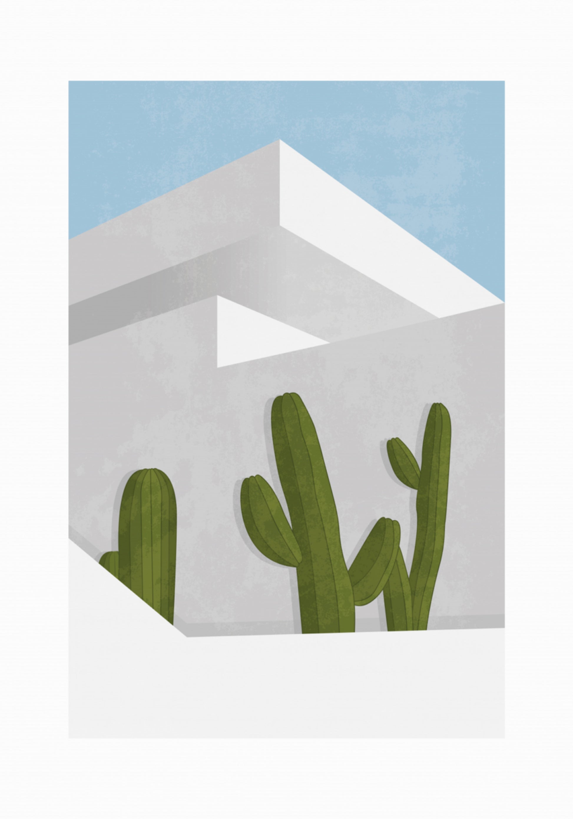 Cactus del deserto minimalista