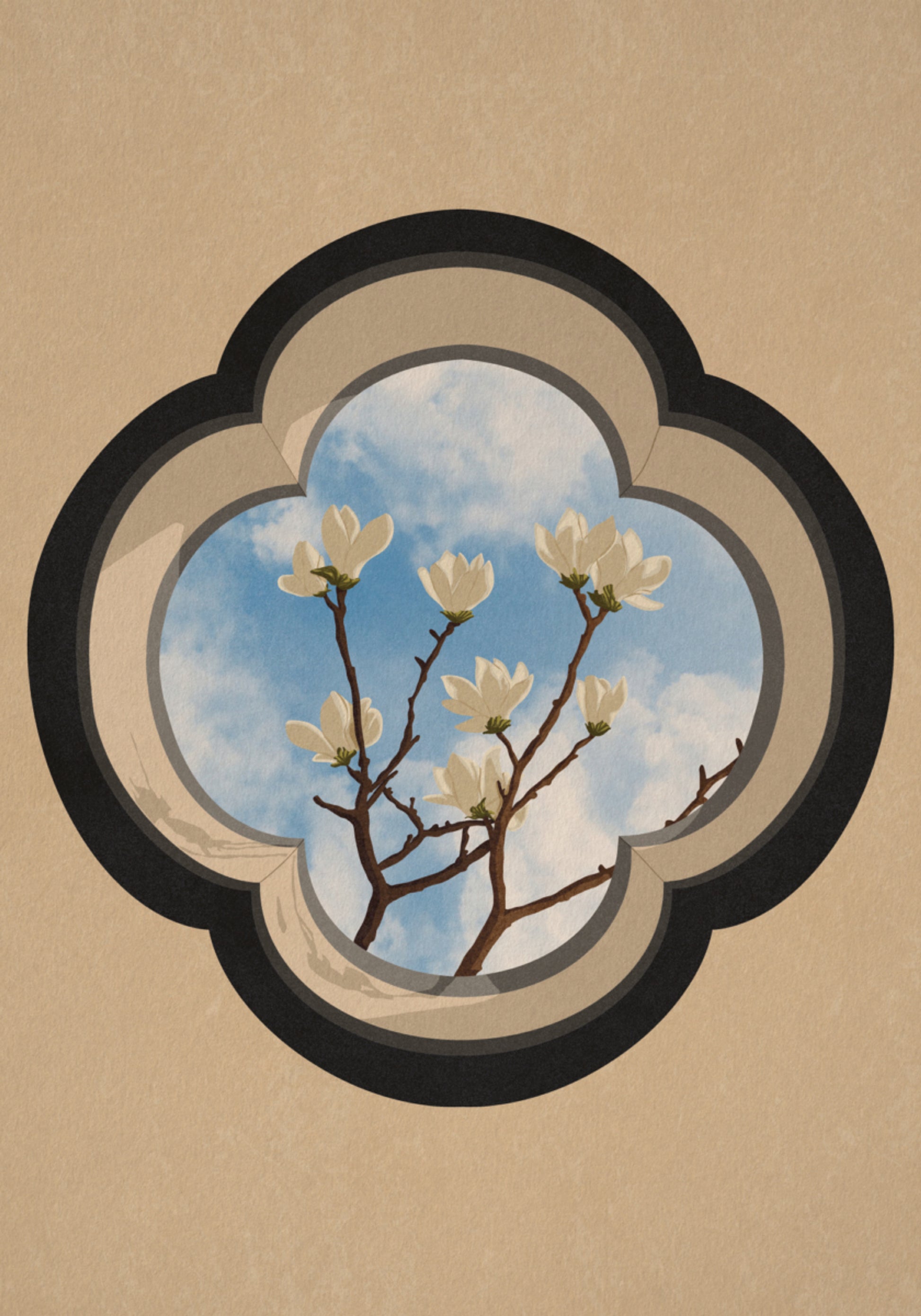 Finestra del cielo della magnolia