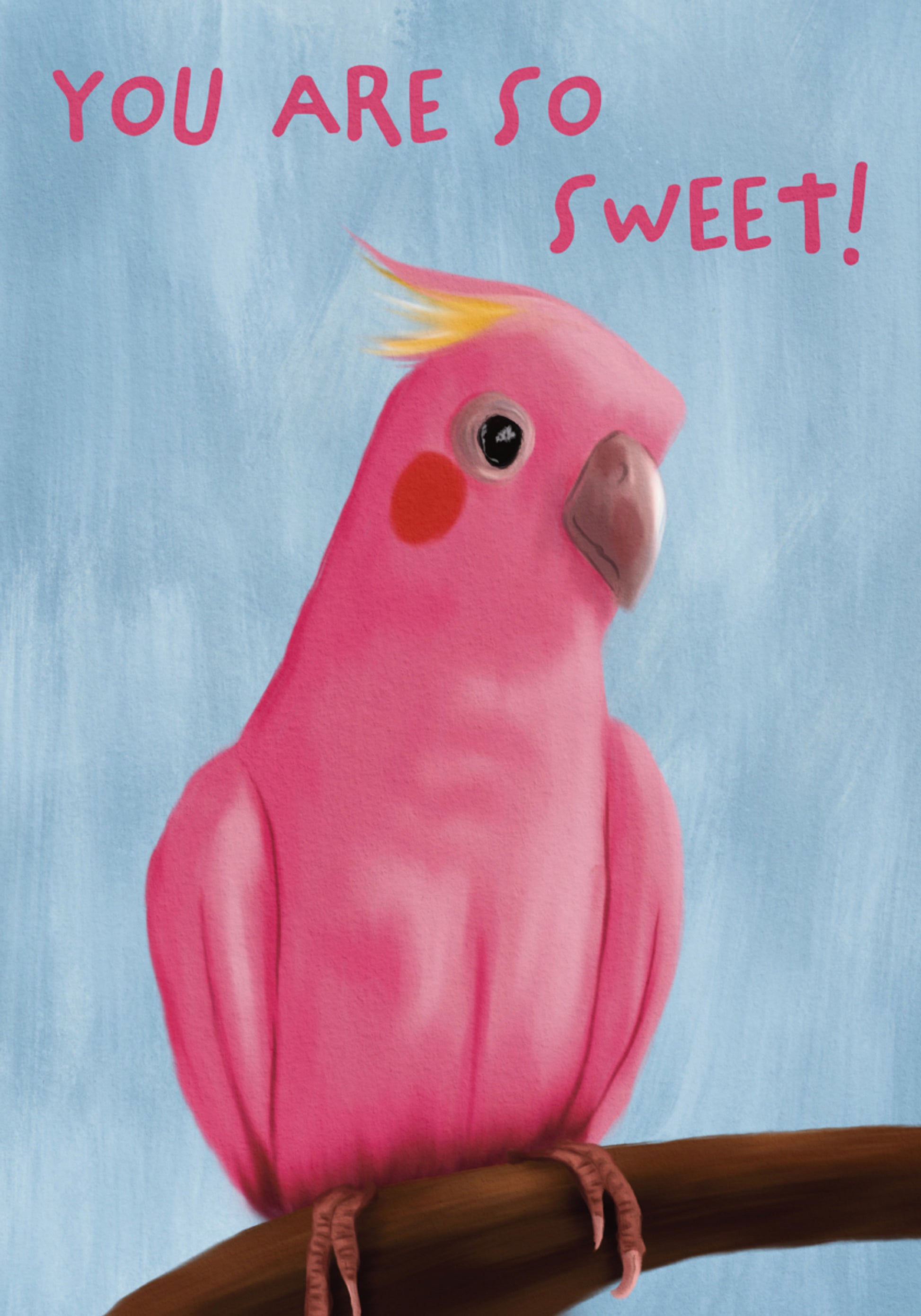 Dolce Galah rosa