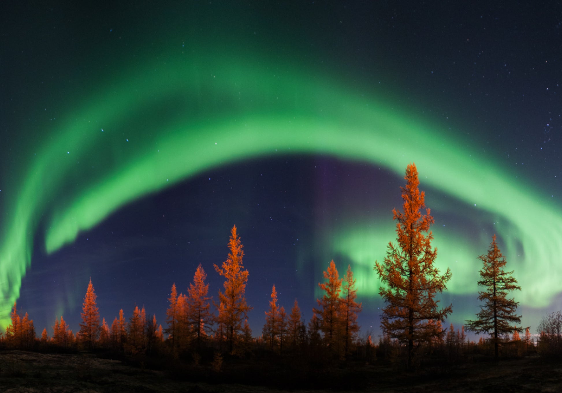 Cielo notturno vibrante Aurora