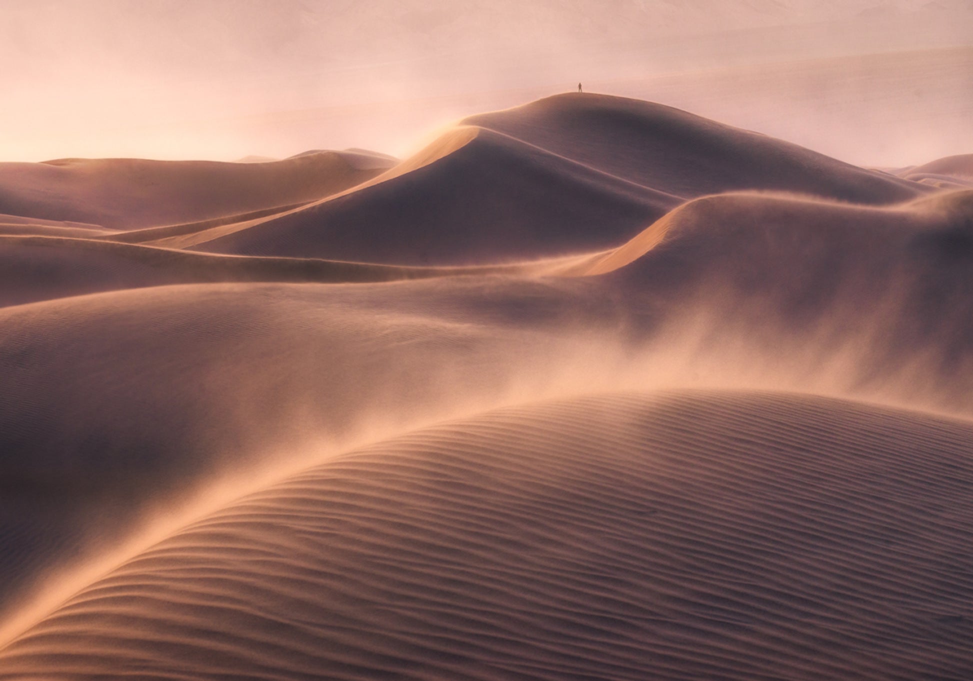 Solitudine del deserto dorato