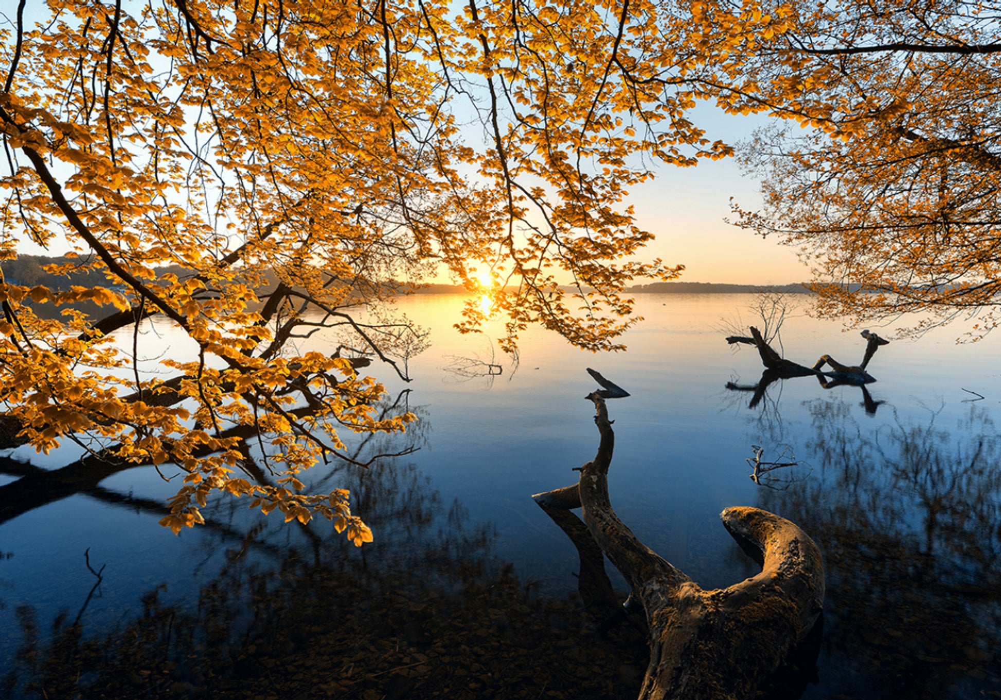 Alba dorata sul lago d'autunno