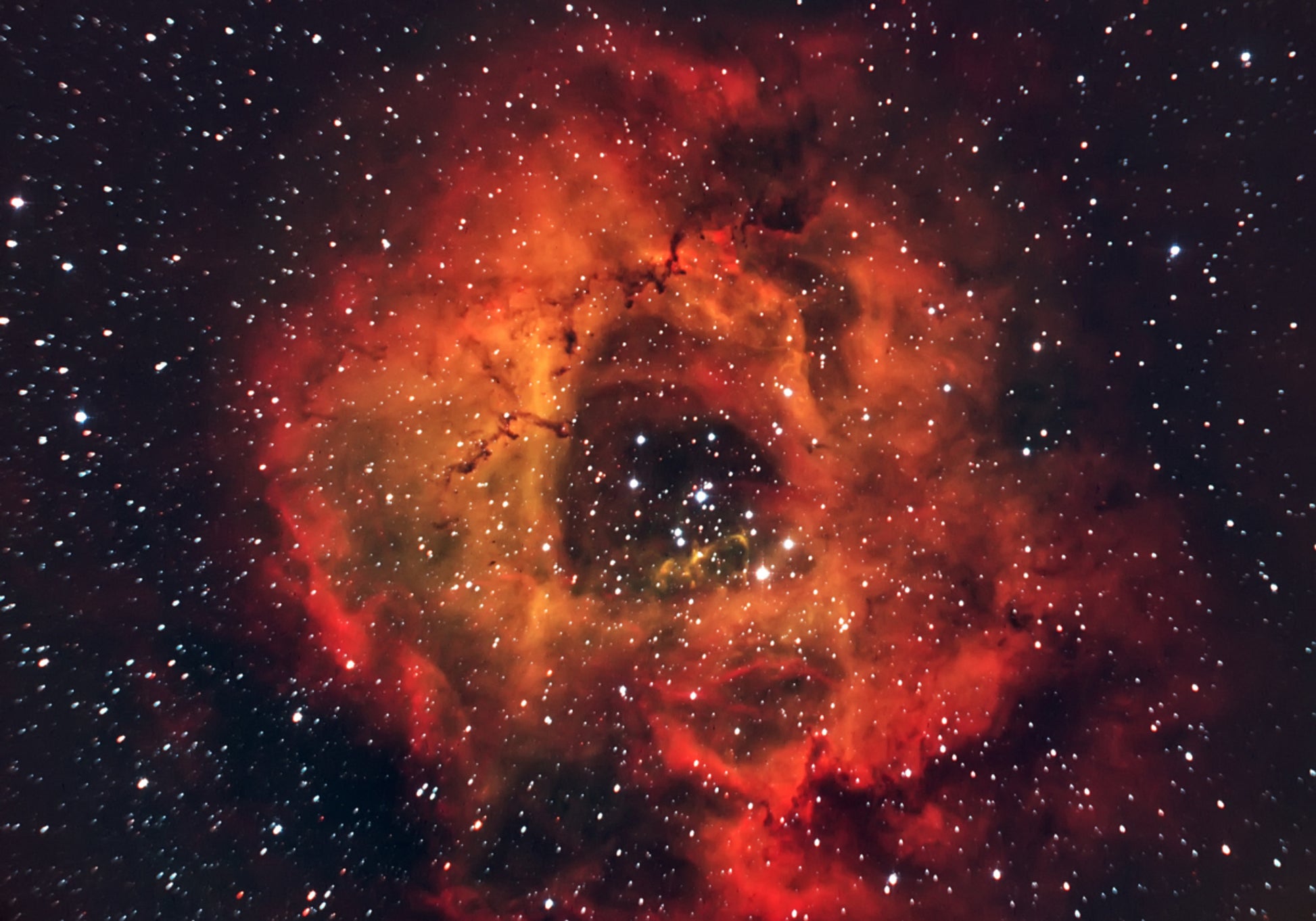 Nebulosa Rosa Cosmica