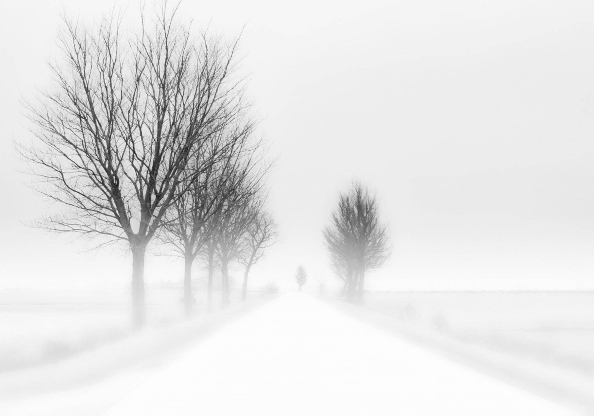 Strada invernale nebbiosa