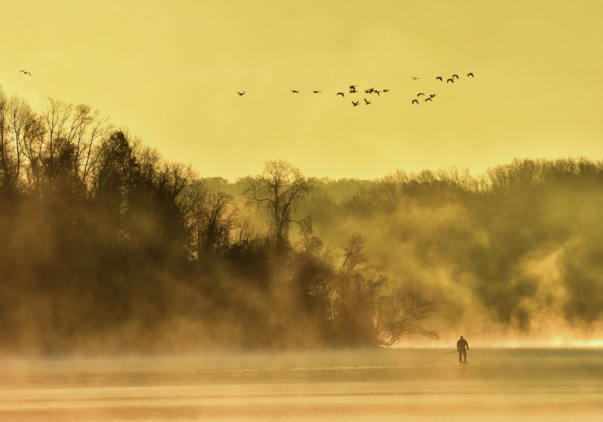 Figura solitaria della nebbia dorata