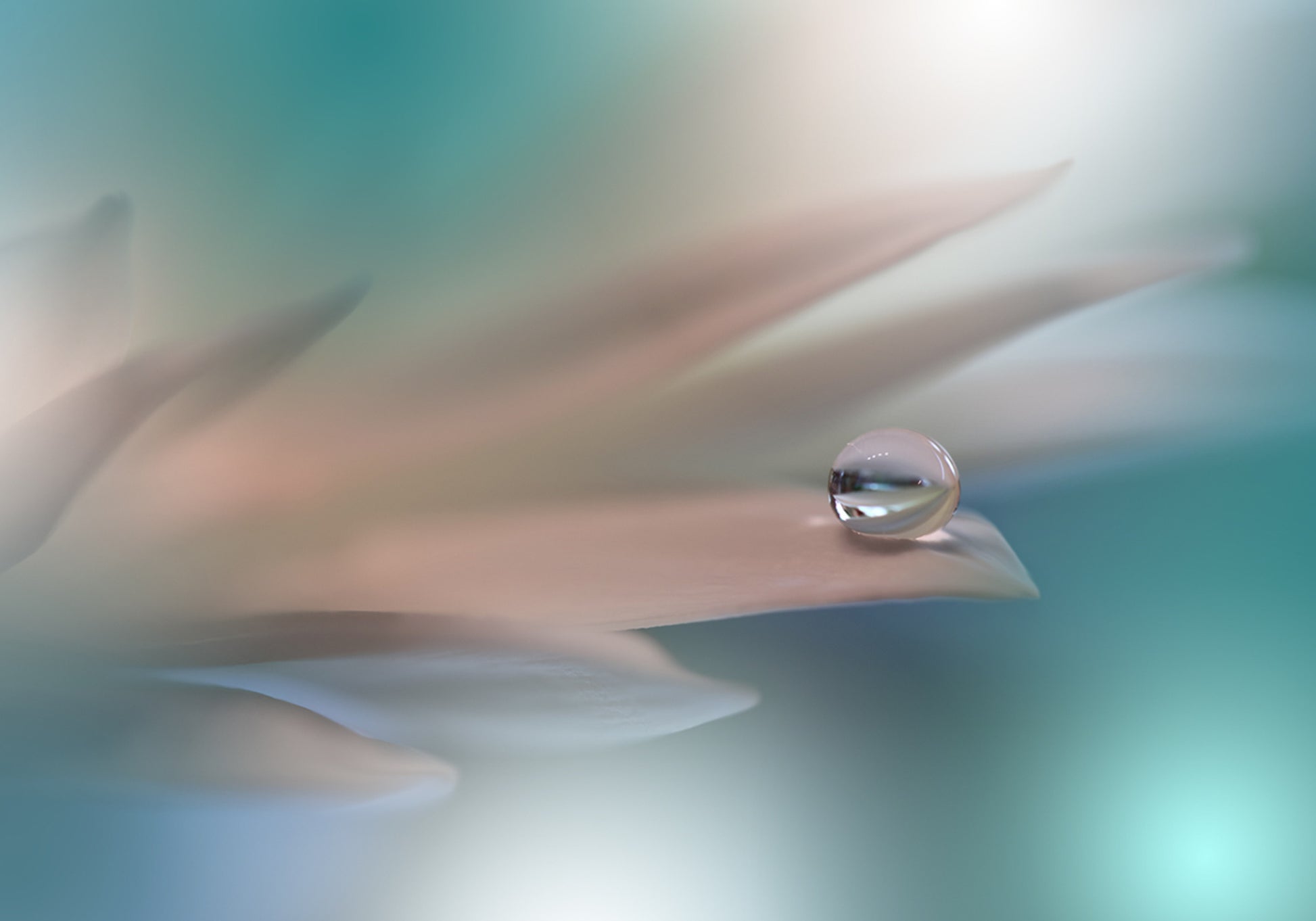 Goccia d'acqua delicata