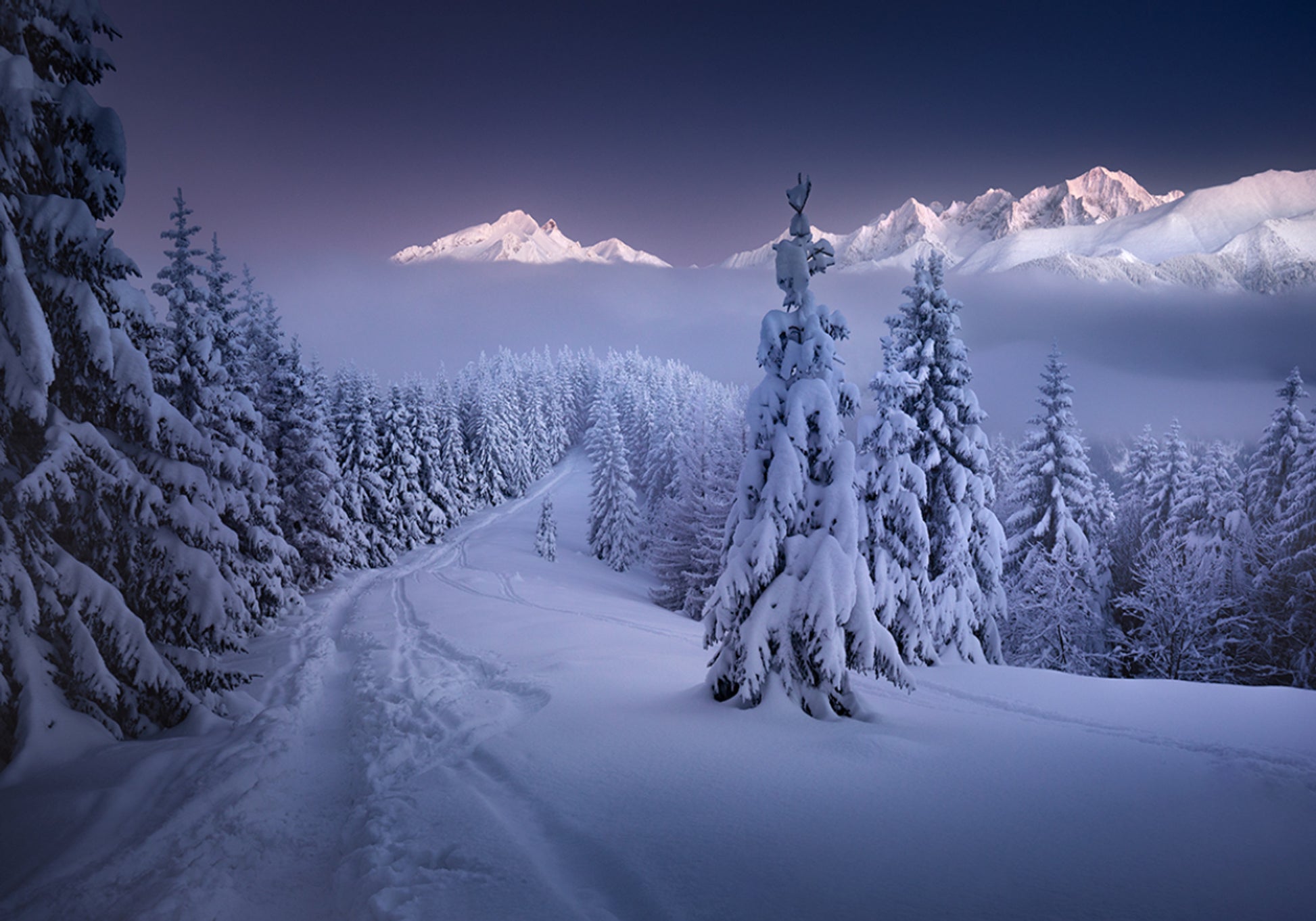 Sentiero di montagna nella foresta invernale