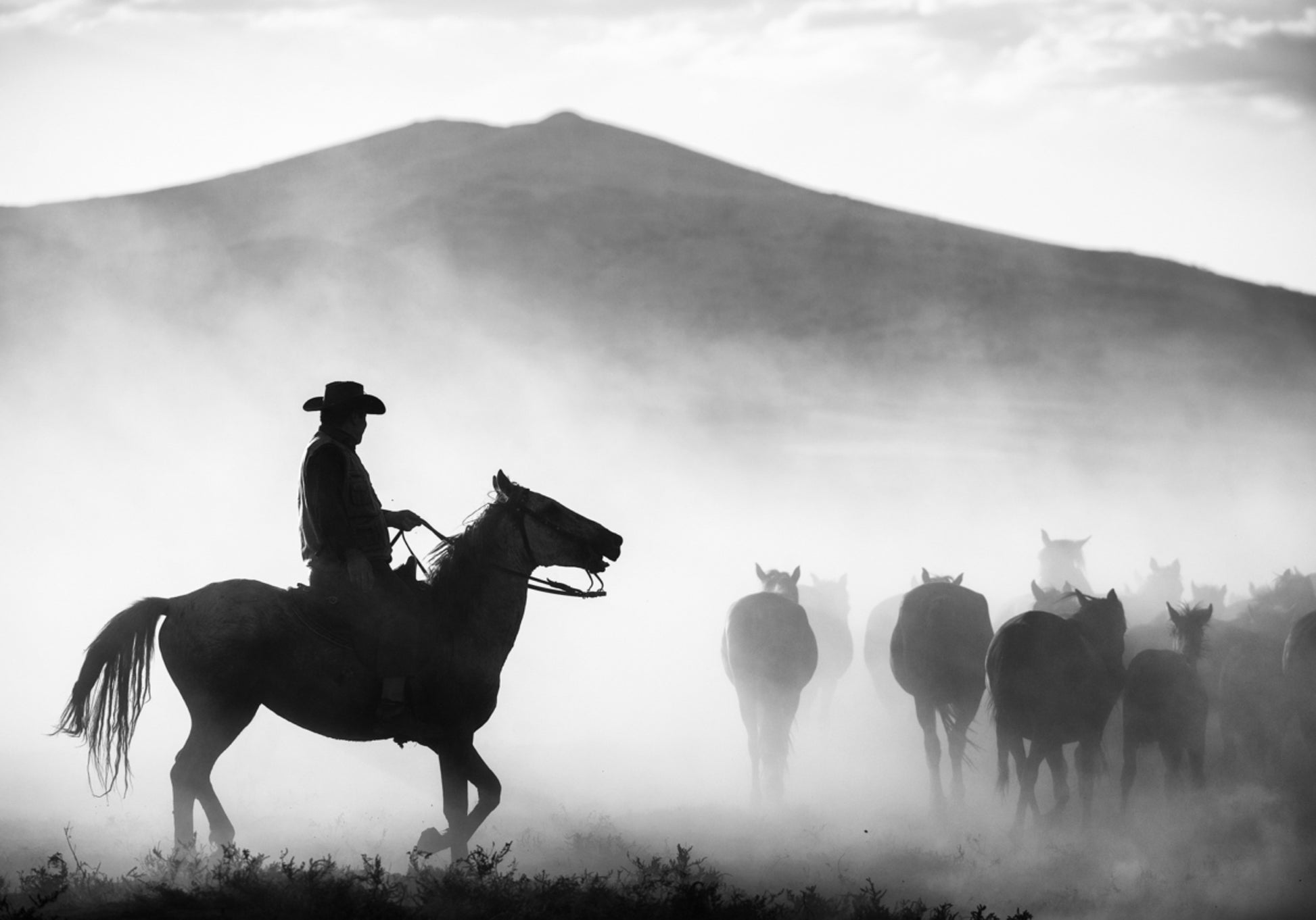 Cowboy che raduna i cavalli