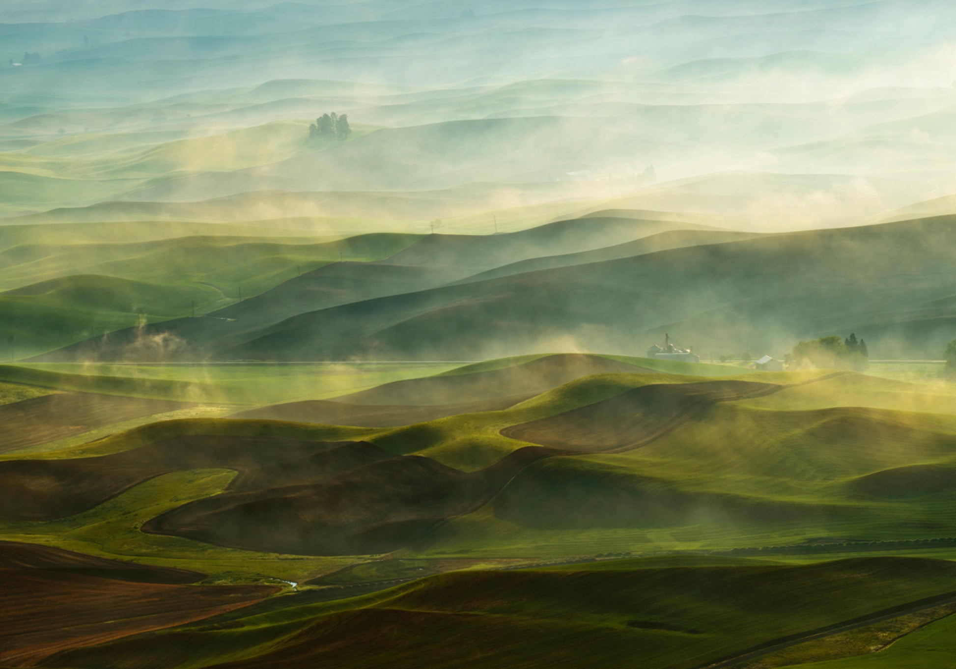 Colline dorate del mattino