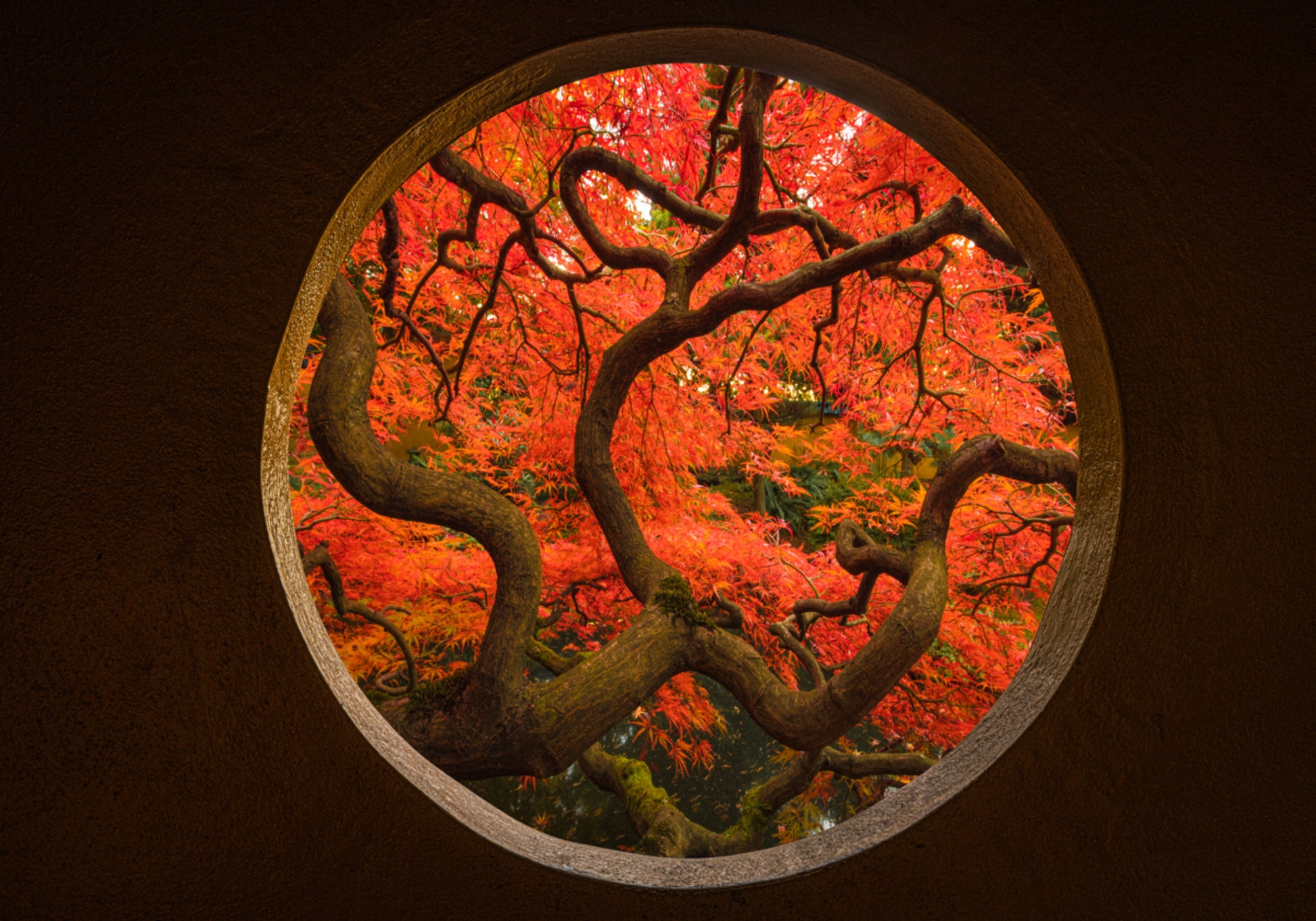 Portale d'acero autunnale