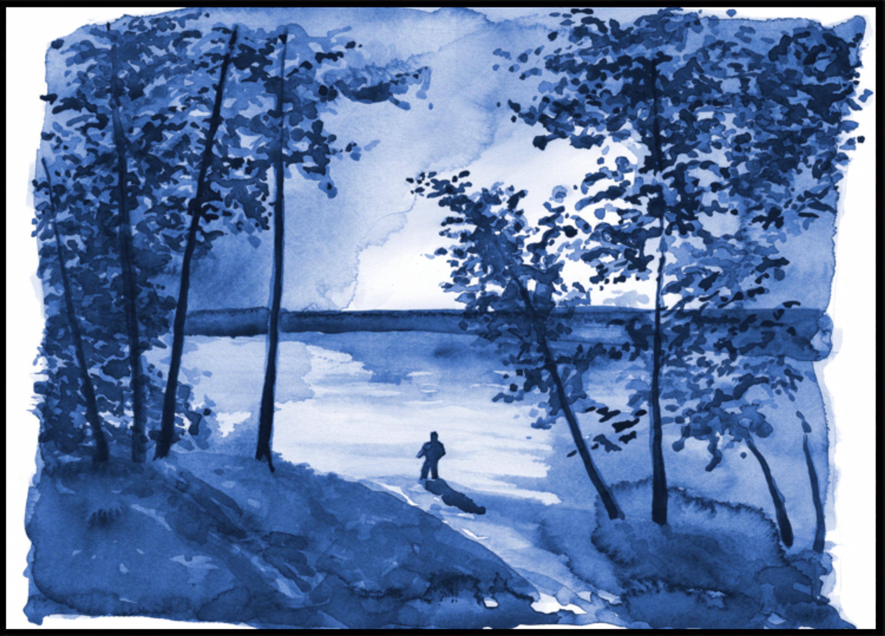 Solitudine del lago della foresta blu