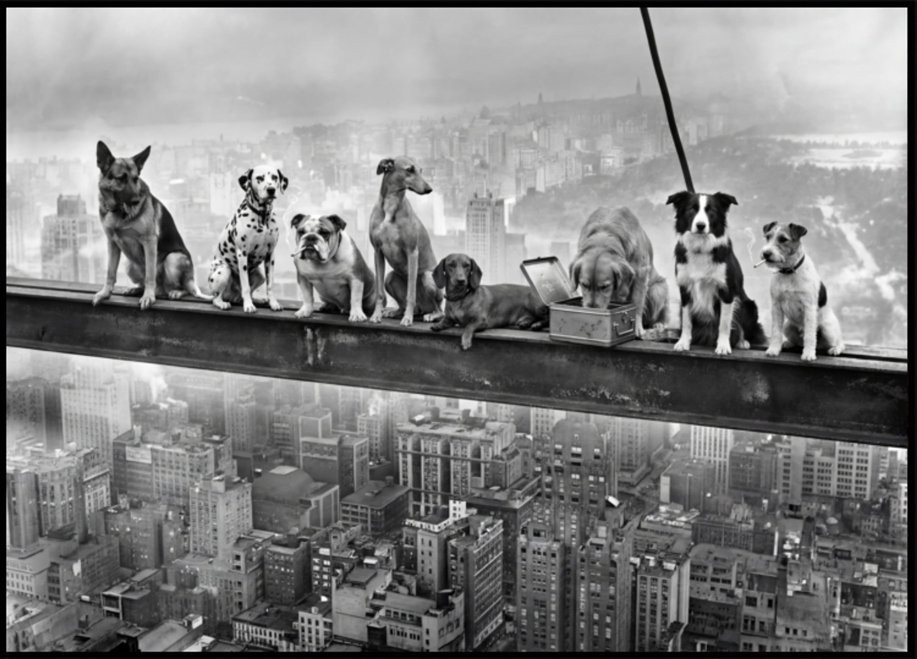 Cani coraggiosi della città