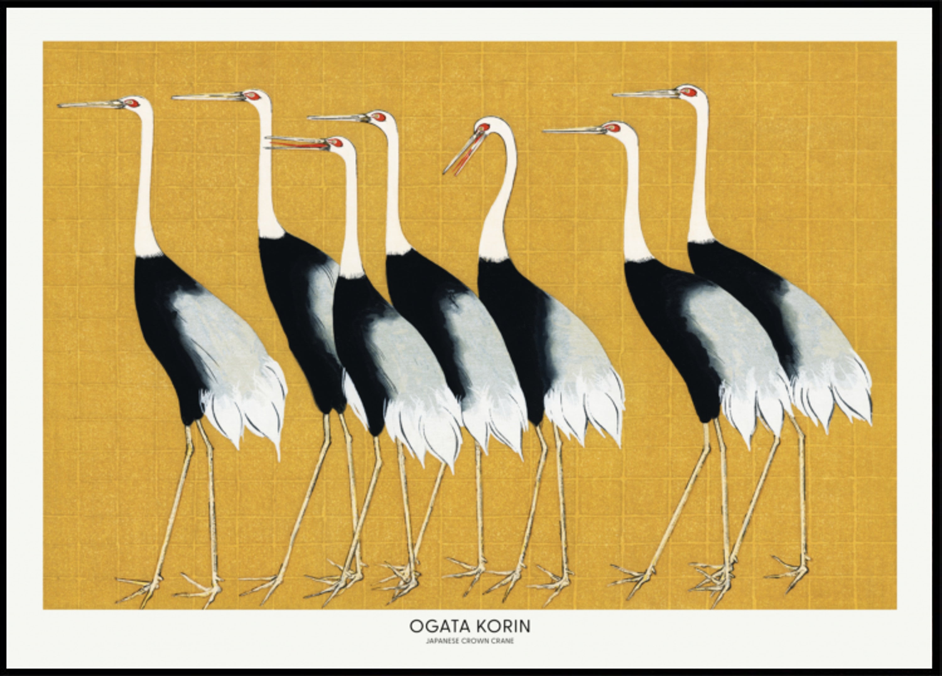 Gru coronata rossa giapponese