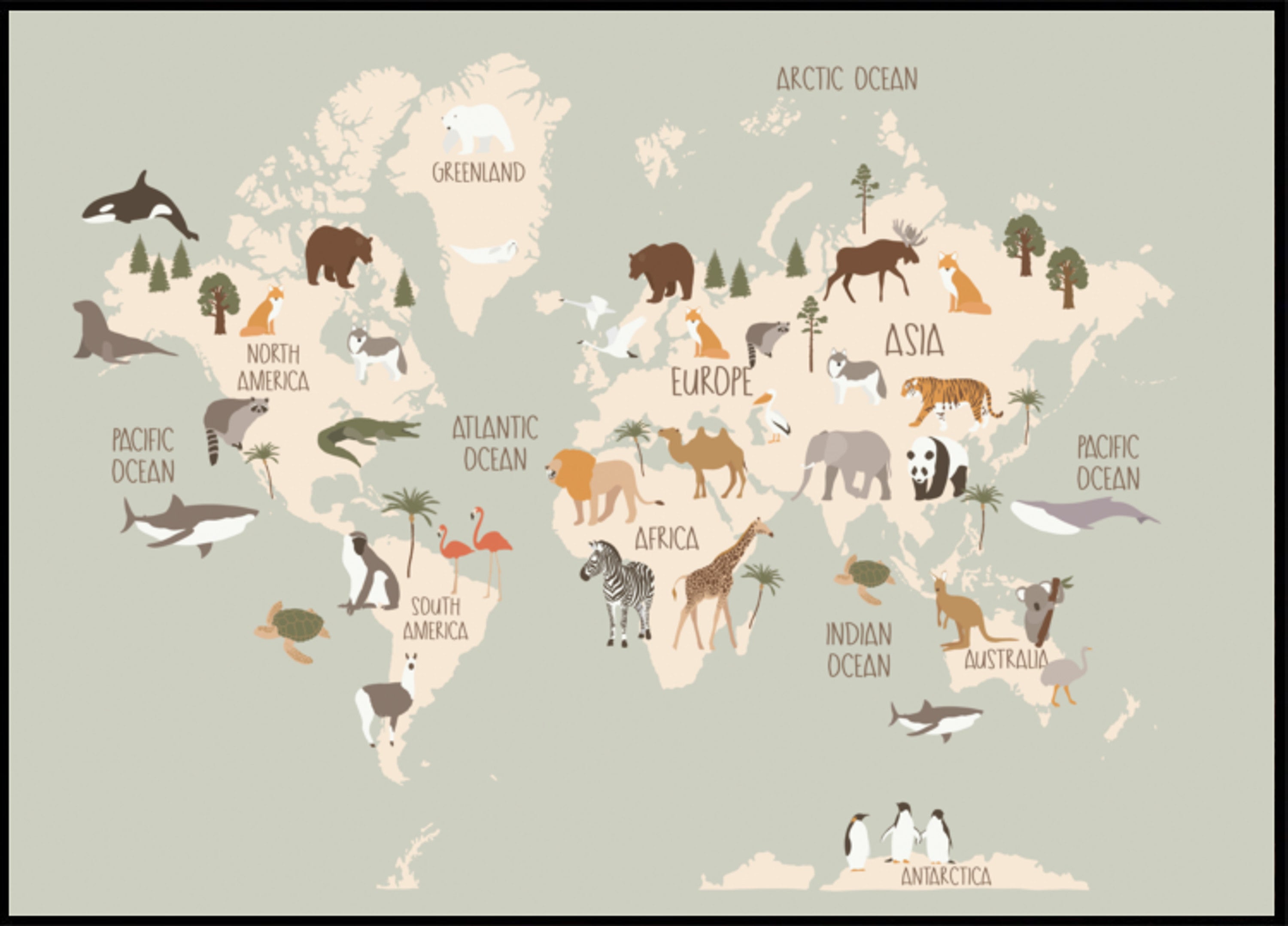 Mappa del mondo della fauna selvatica