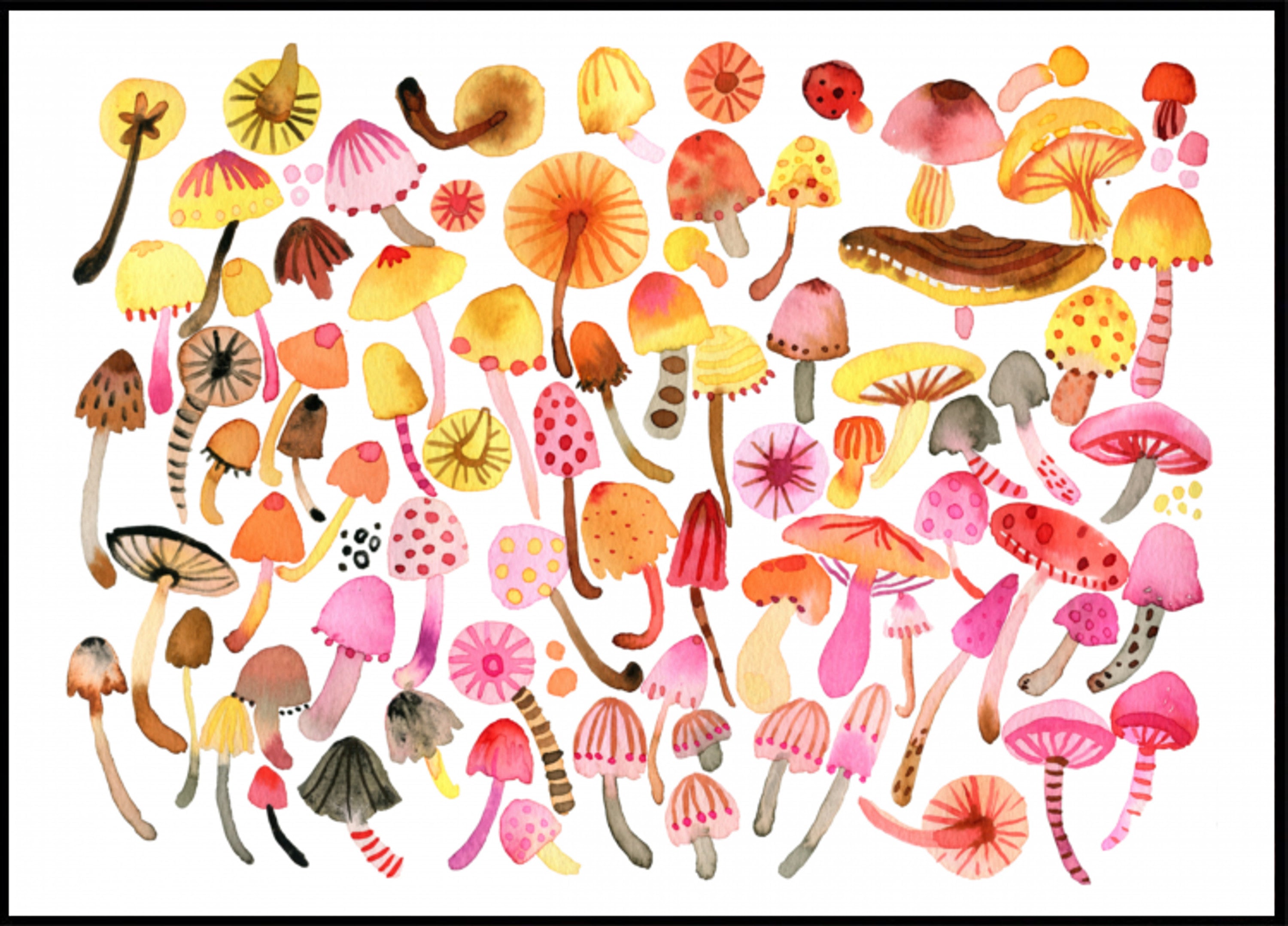 Collezione di funghi stravaganti