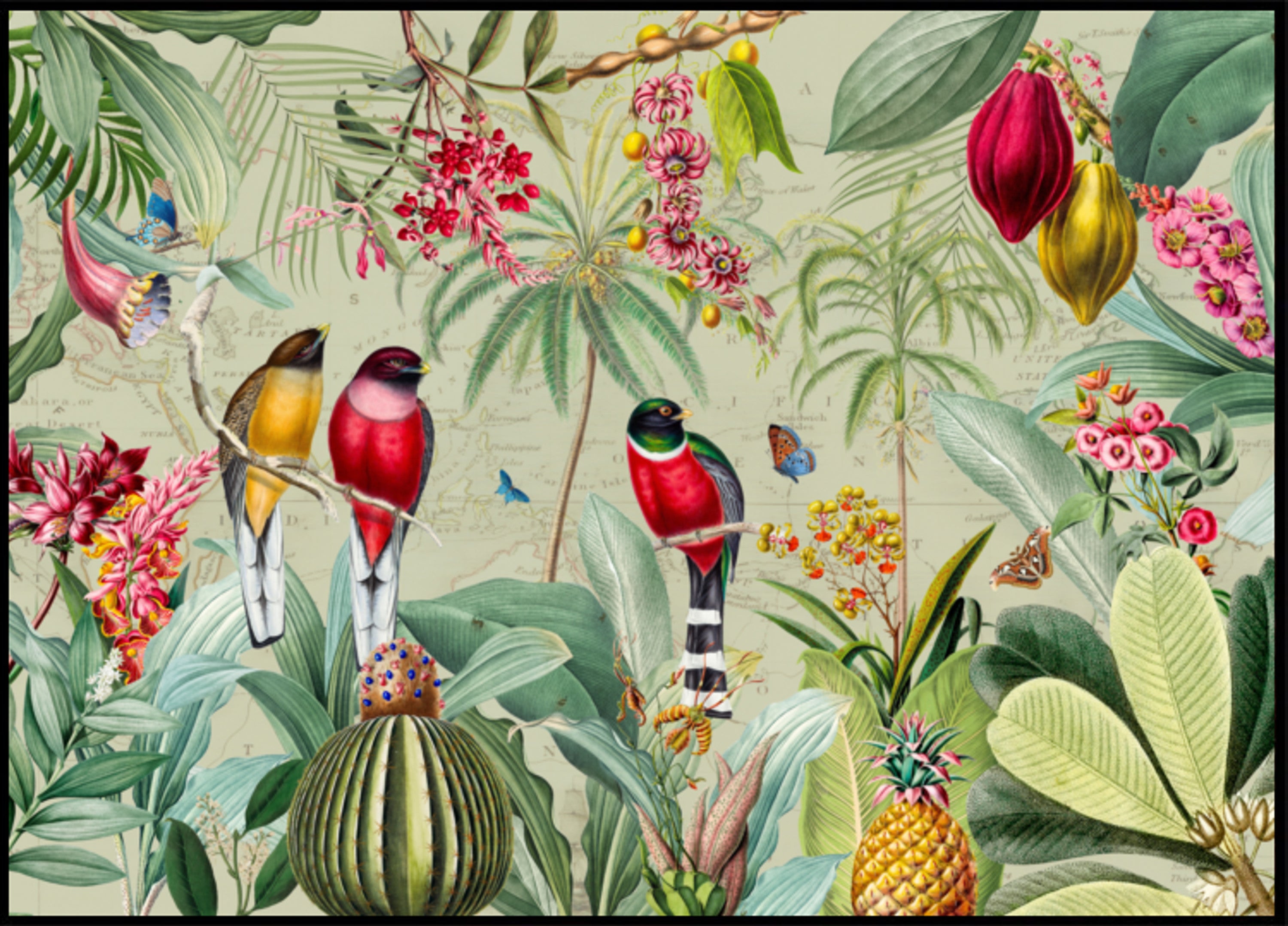 Uccelli della giungla tropicale