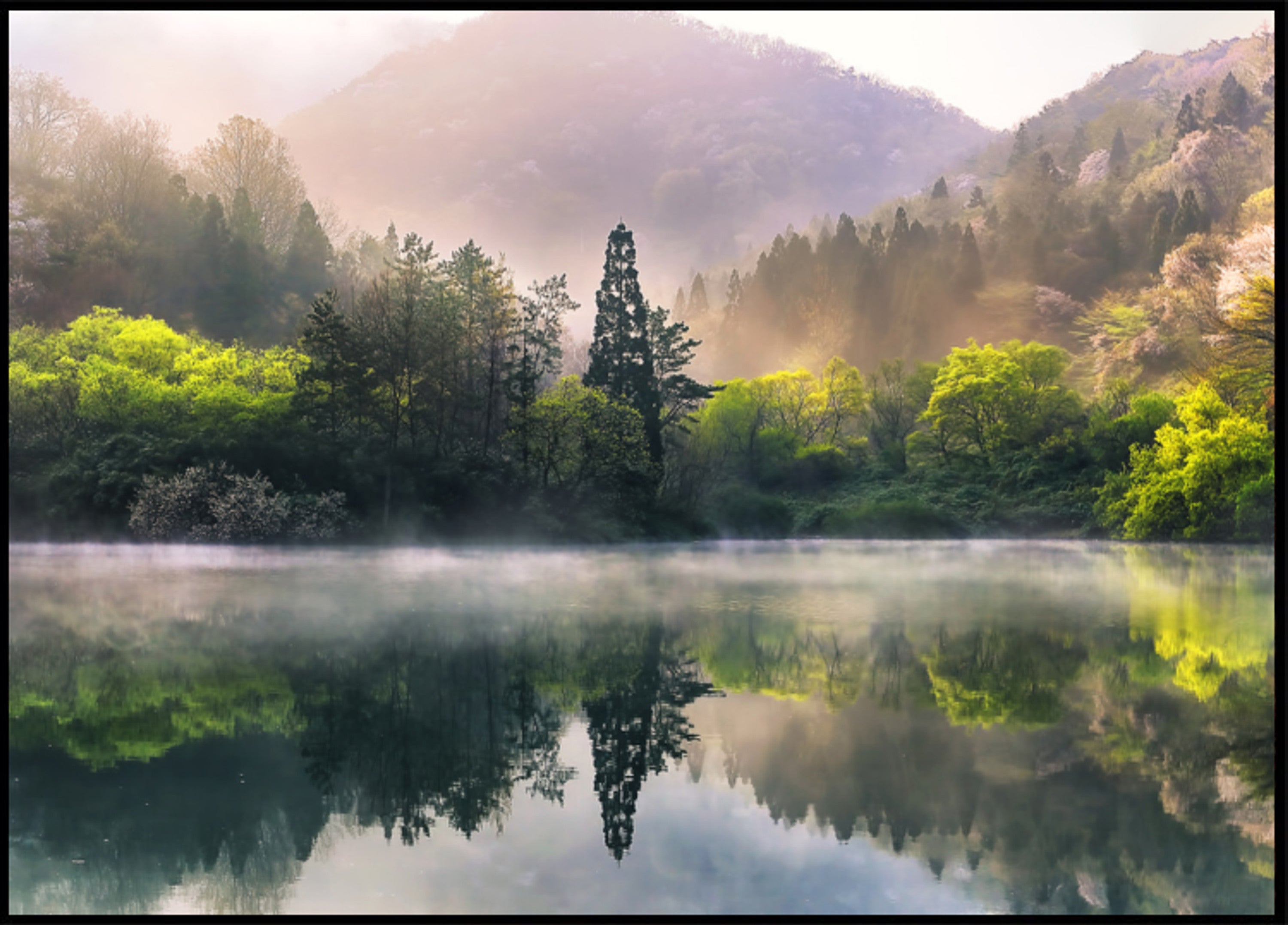 Riflessione nebbiosa del lago della primavera
