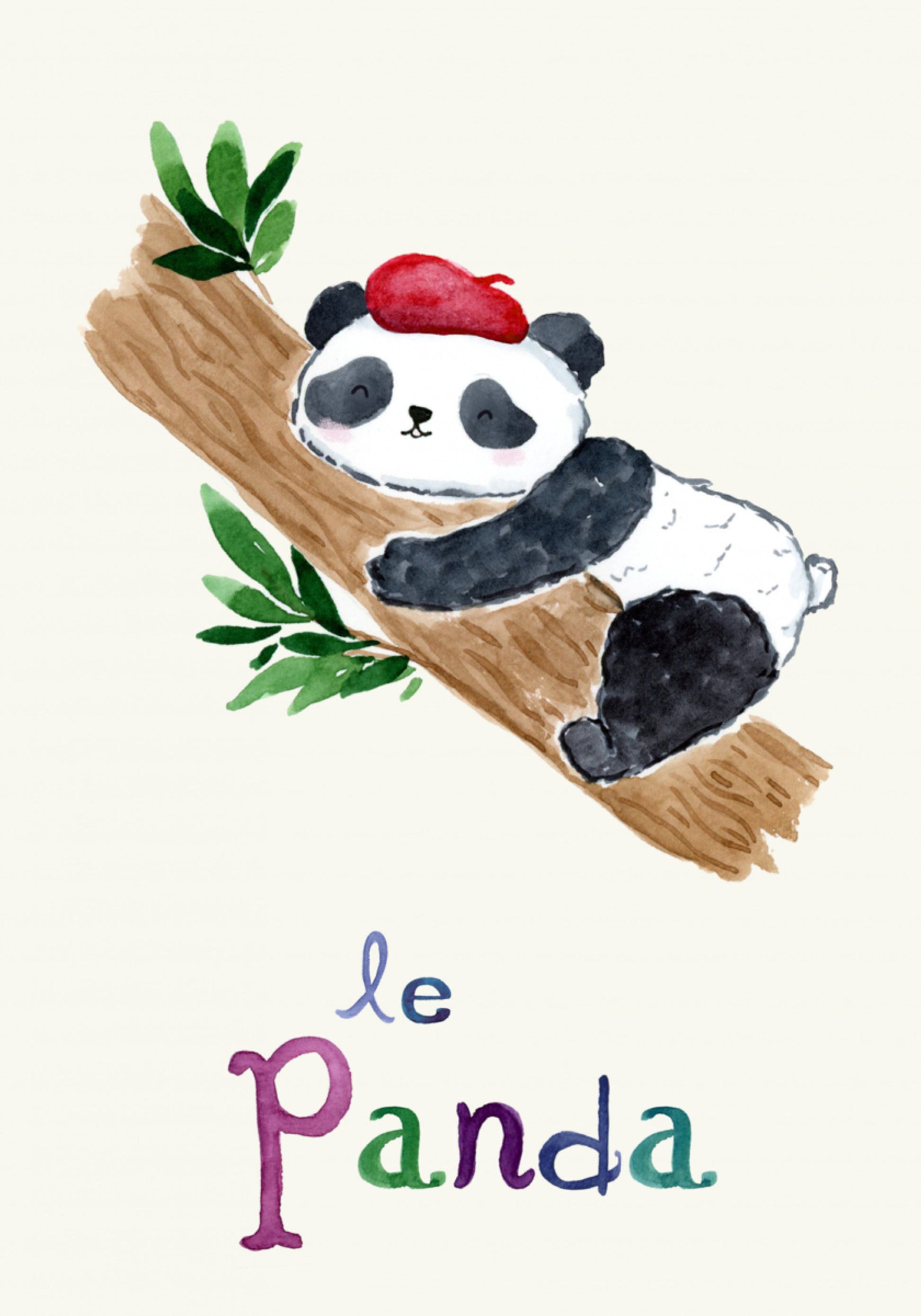 Panda francese addormentato
