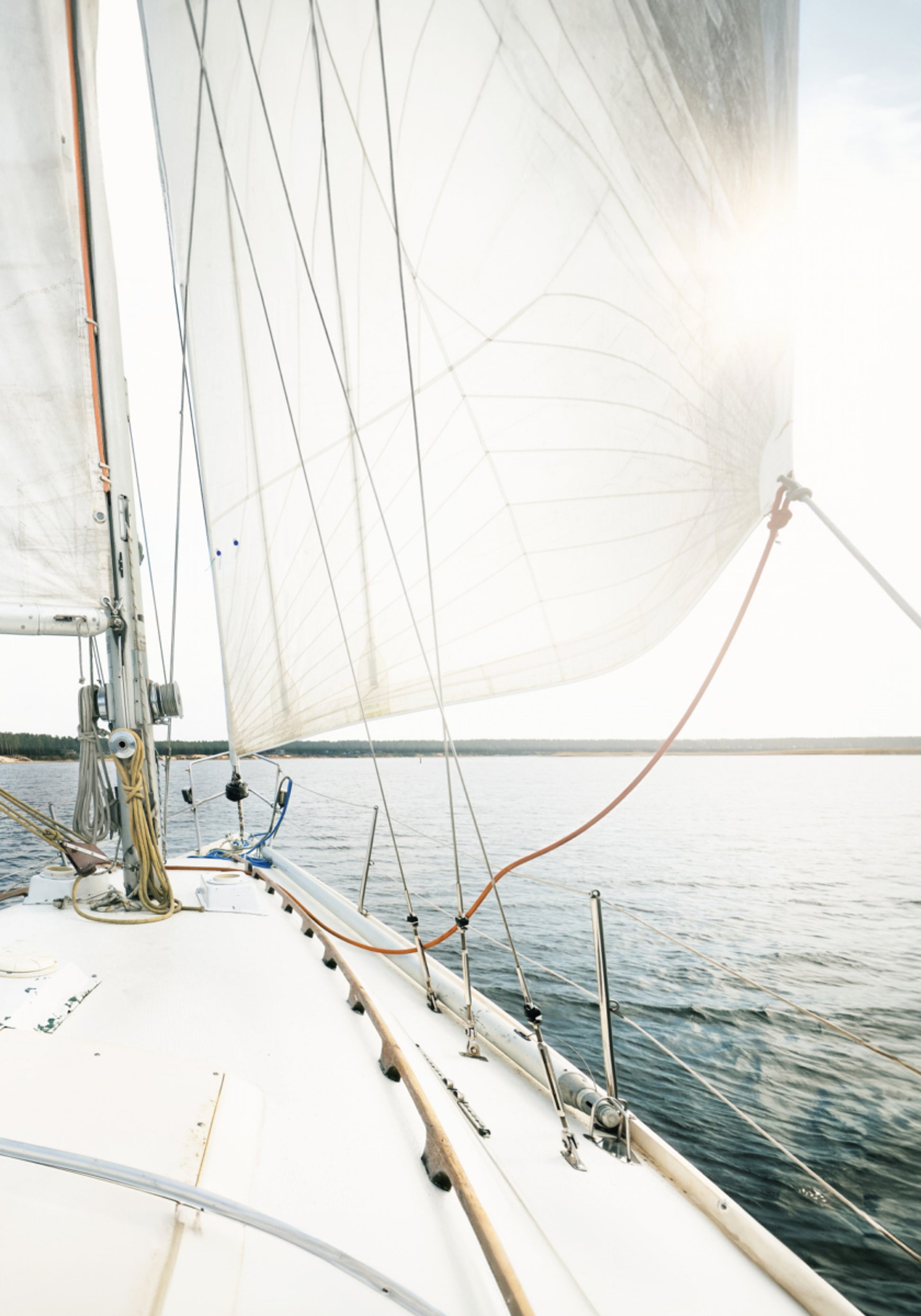 Salpa via