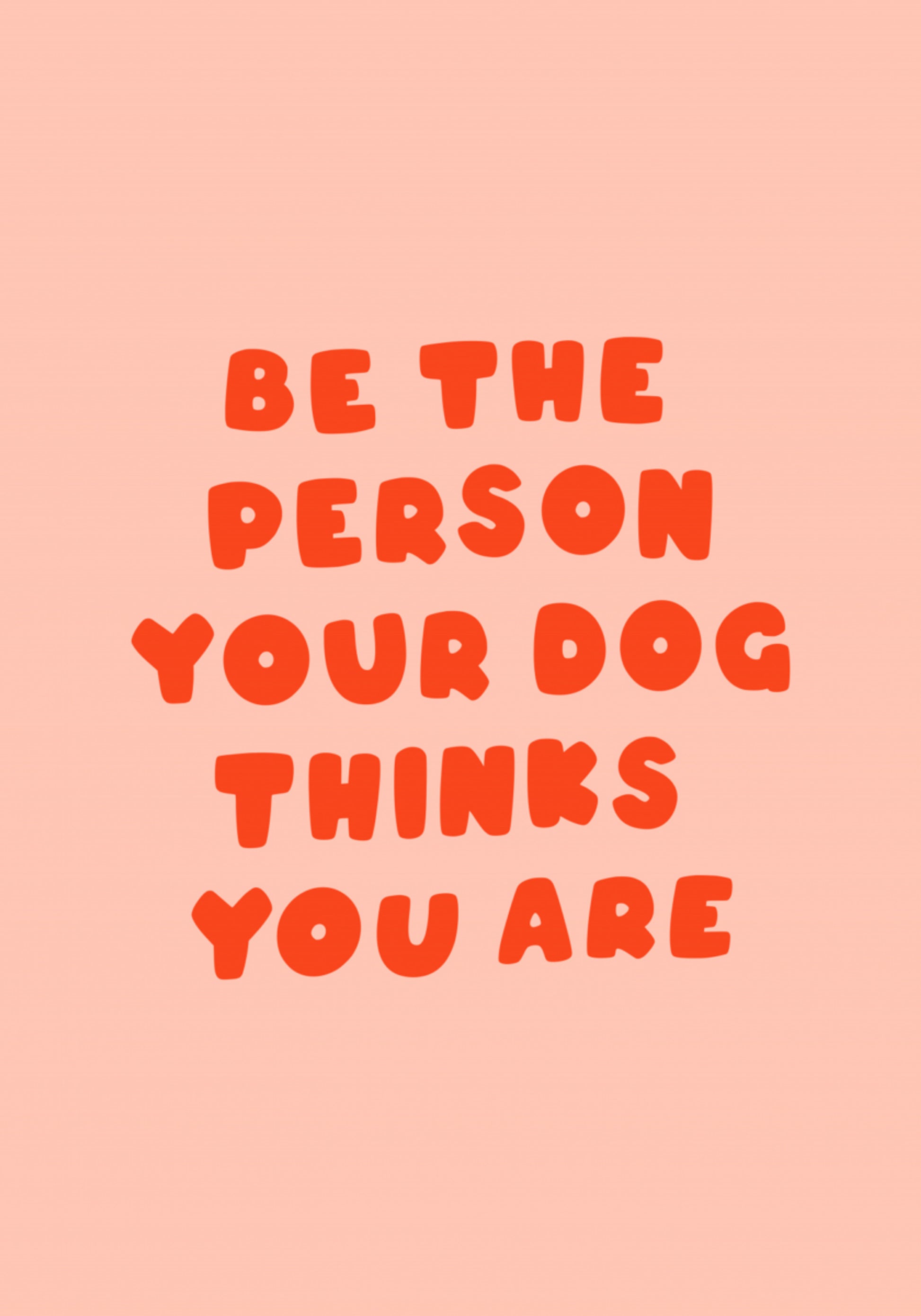 La persona preferita del cane