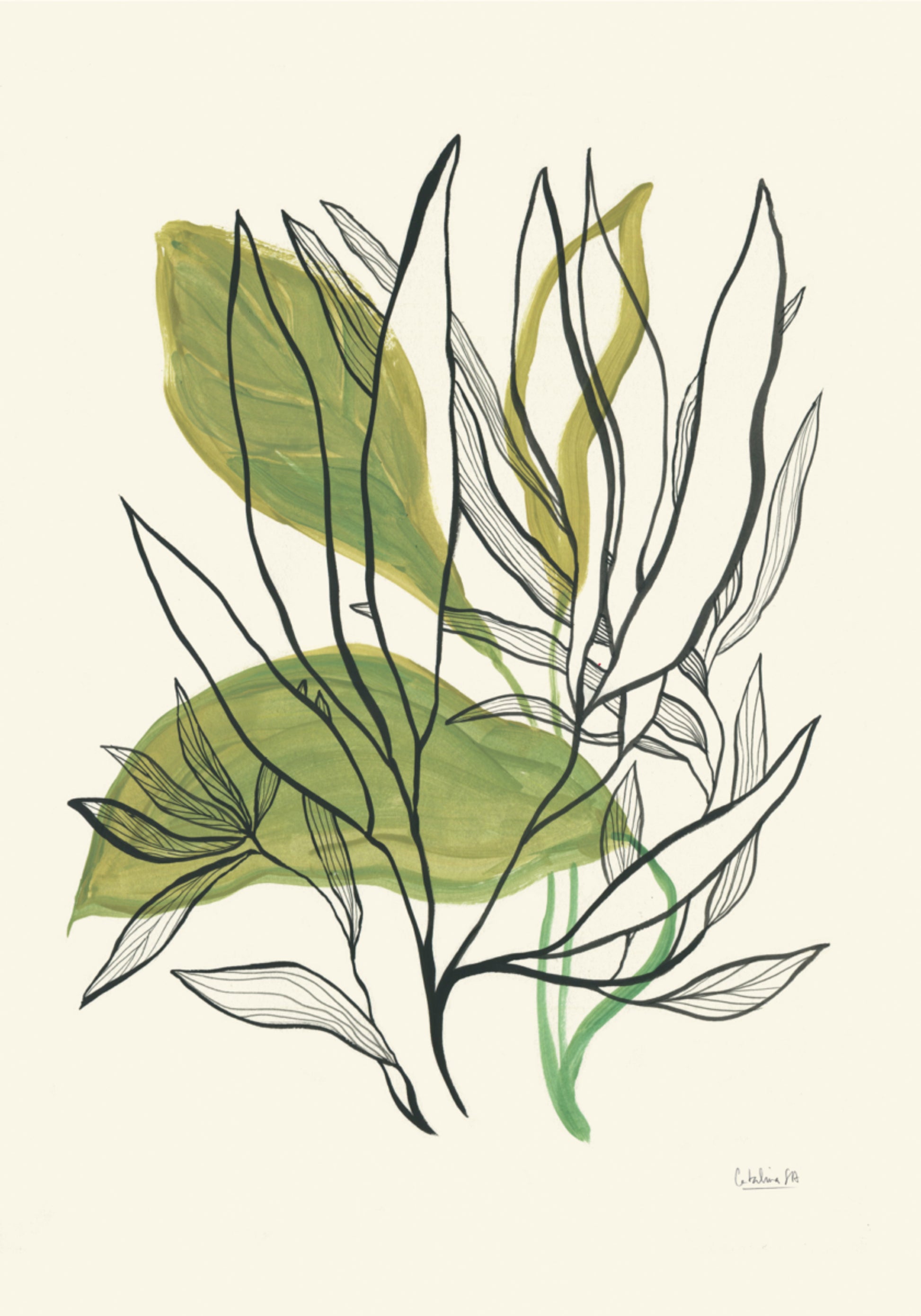 Foglie botaniche moderne