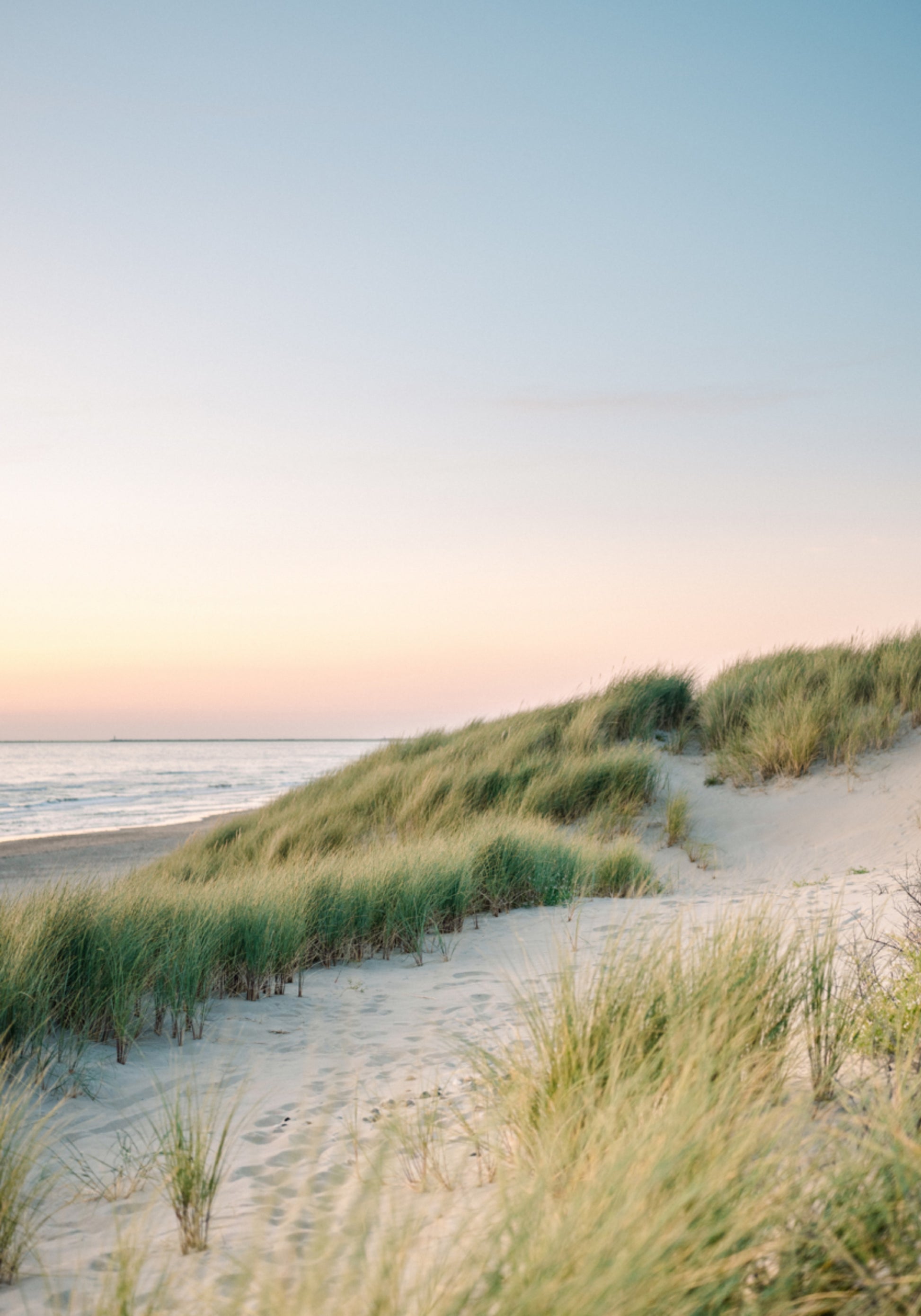 Dune olandesi
