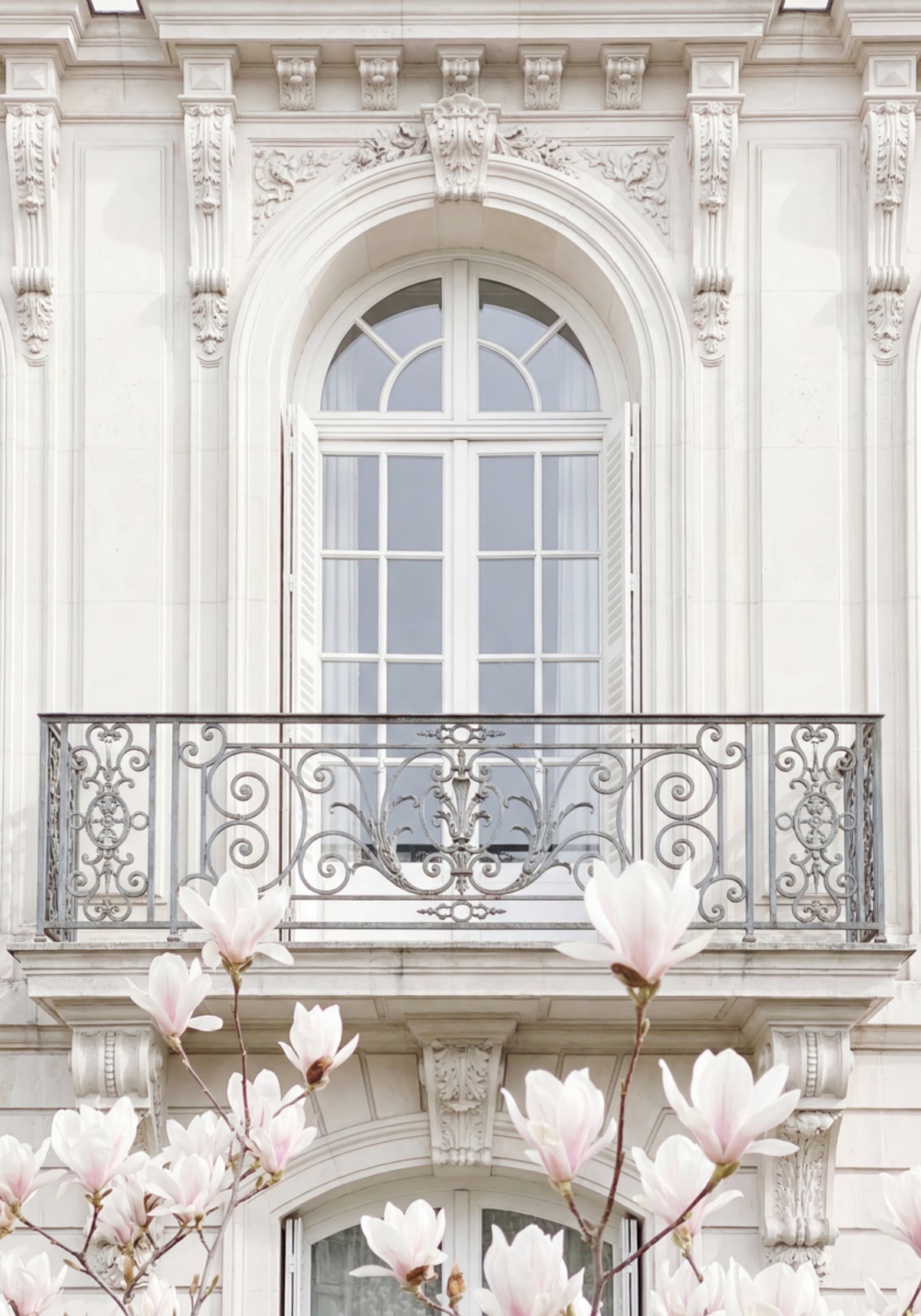 Magnolie bianche della facciata