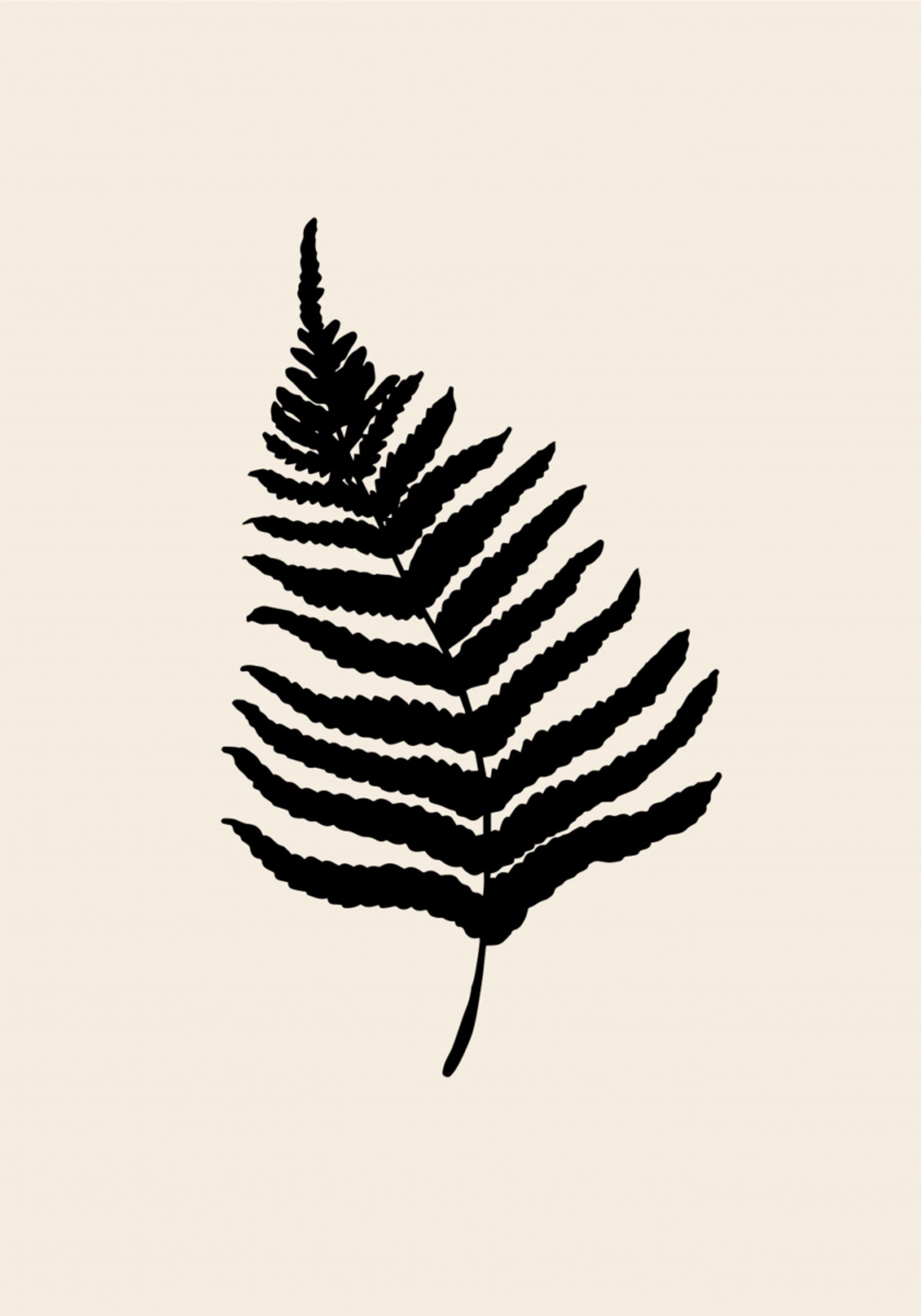 Silhouette minima di felce