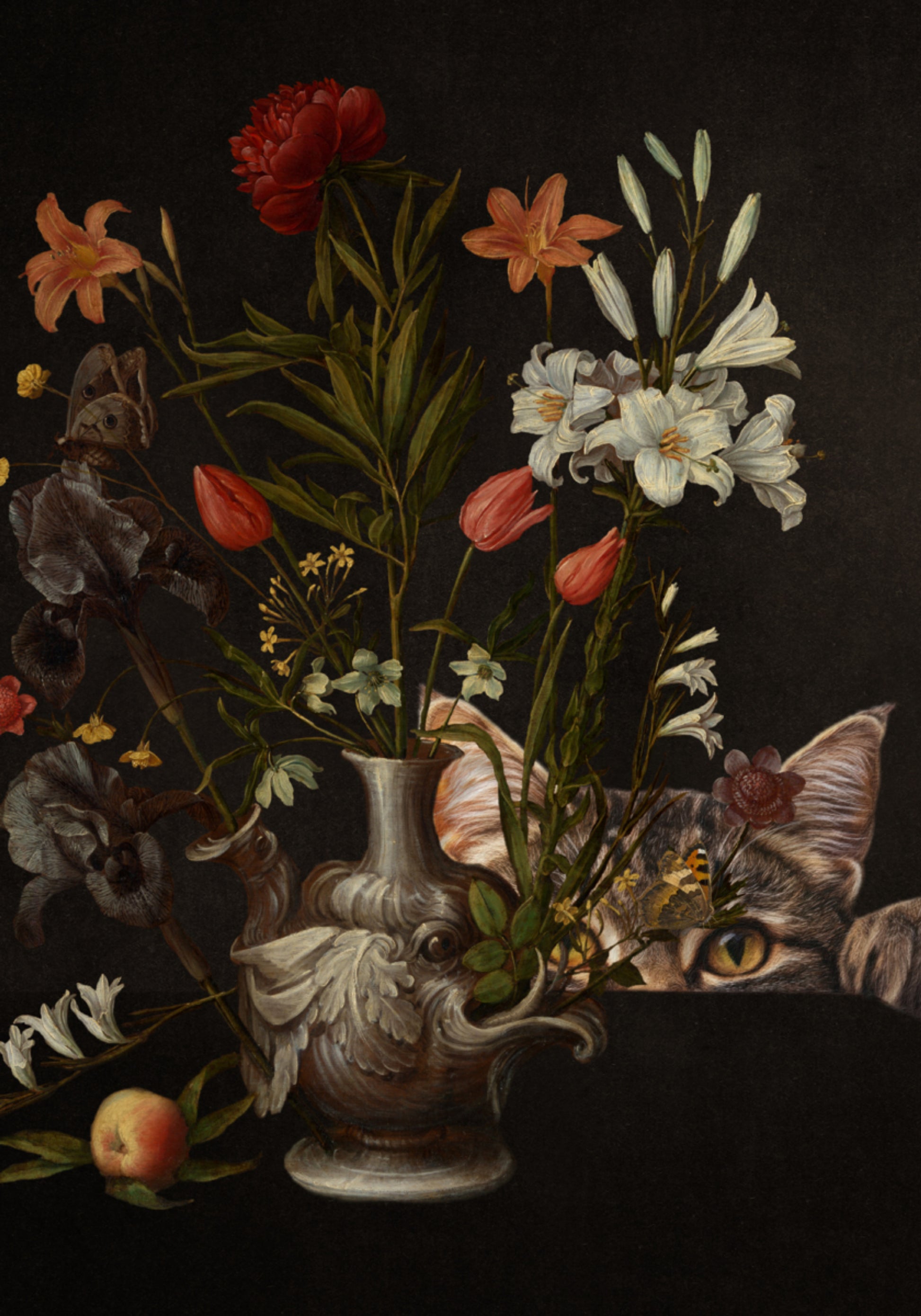 Fiori di gatto curioso
