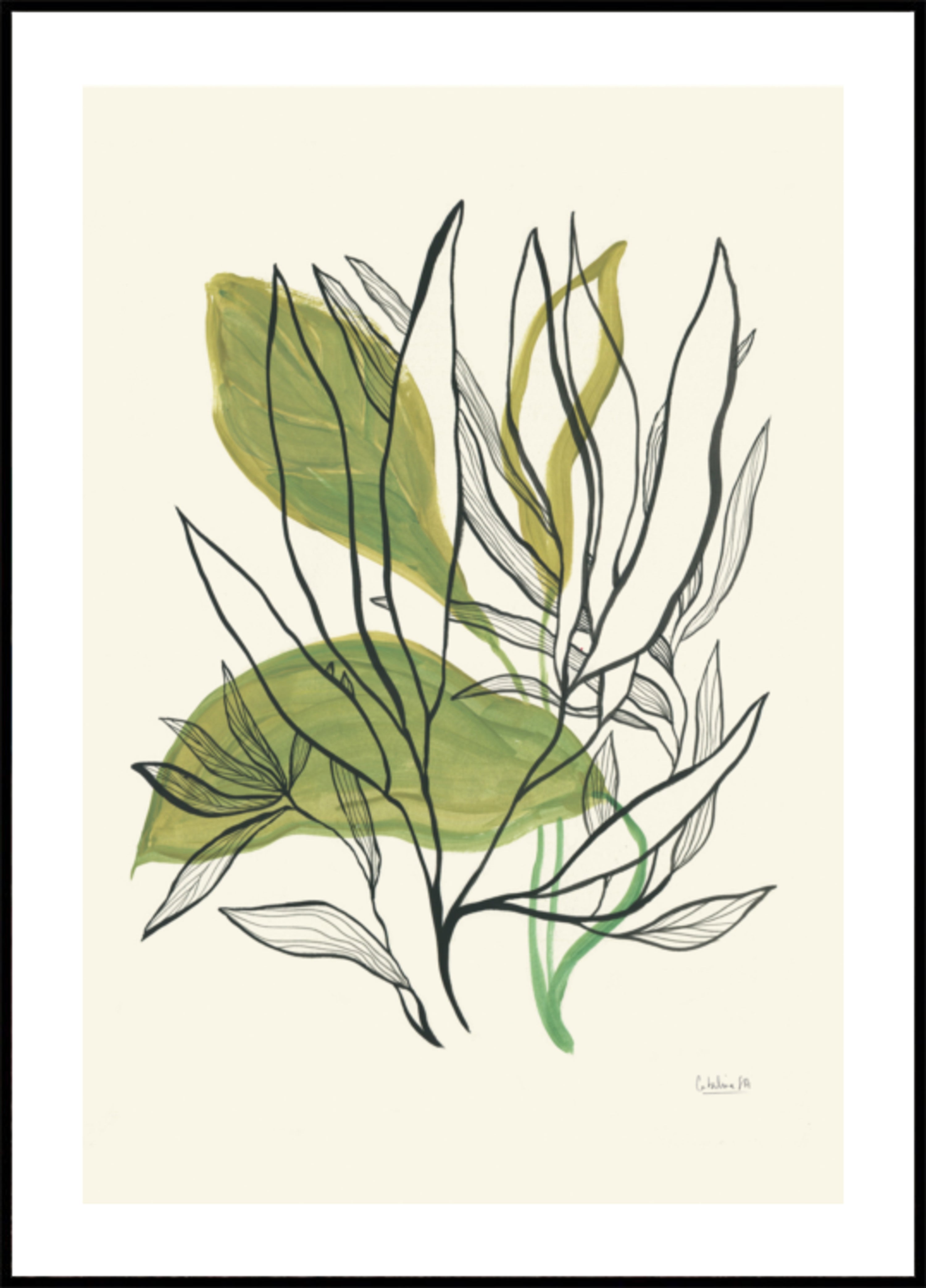 Foglie botaniche moderne