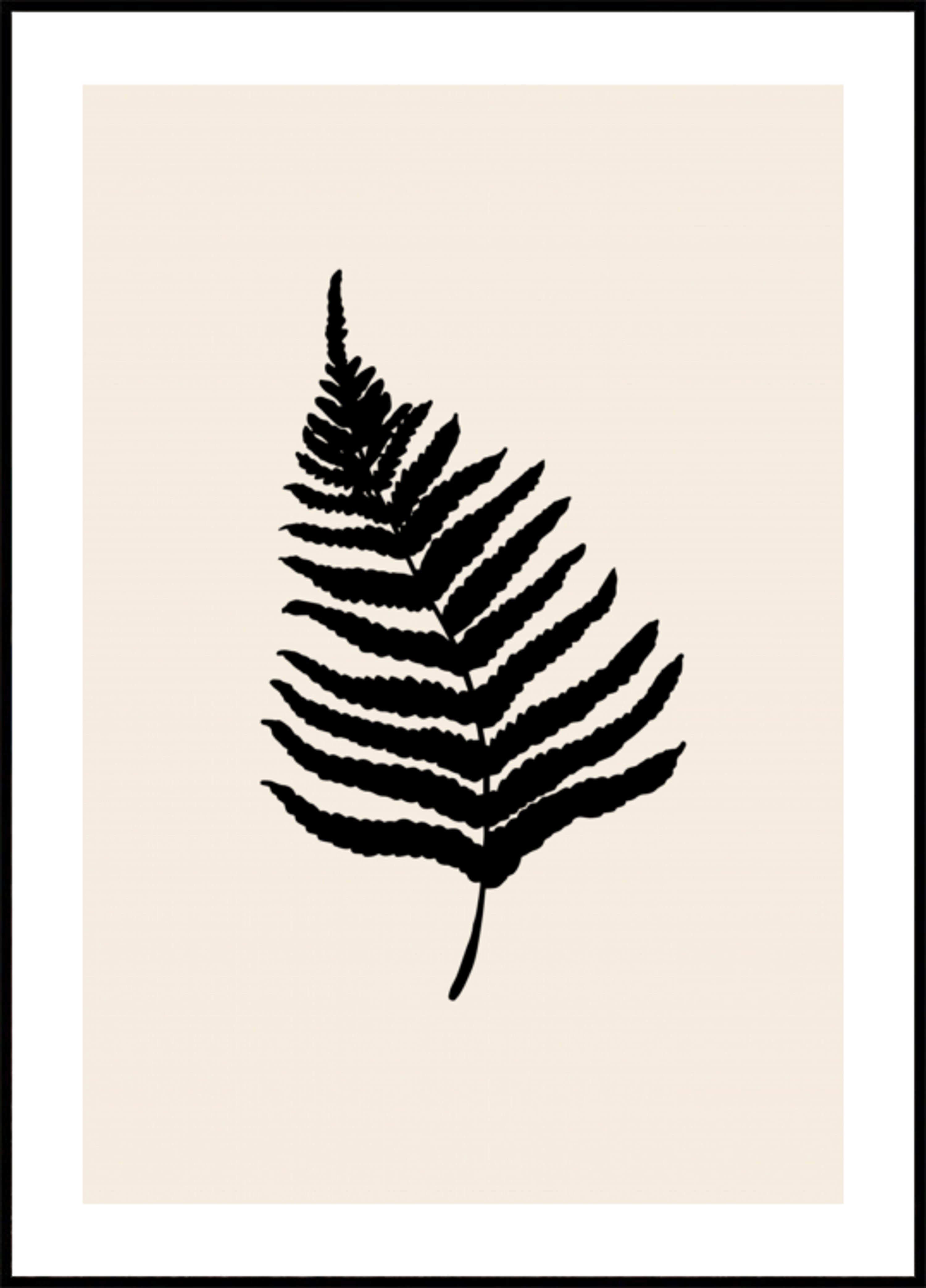 Silhouette minima di felce