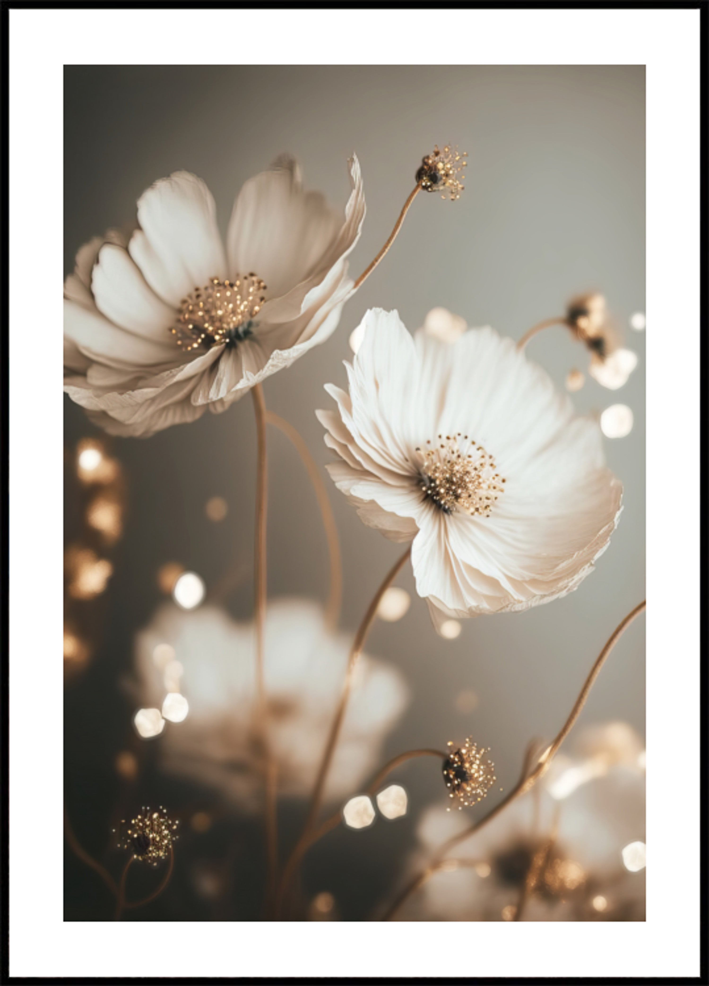 Bagliore dei petali