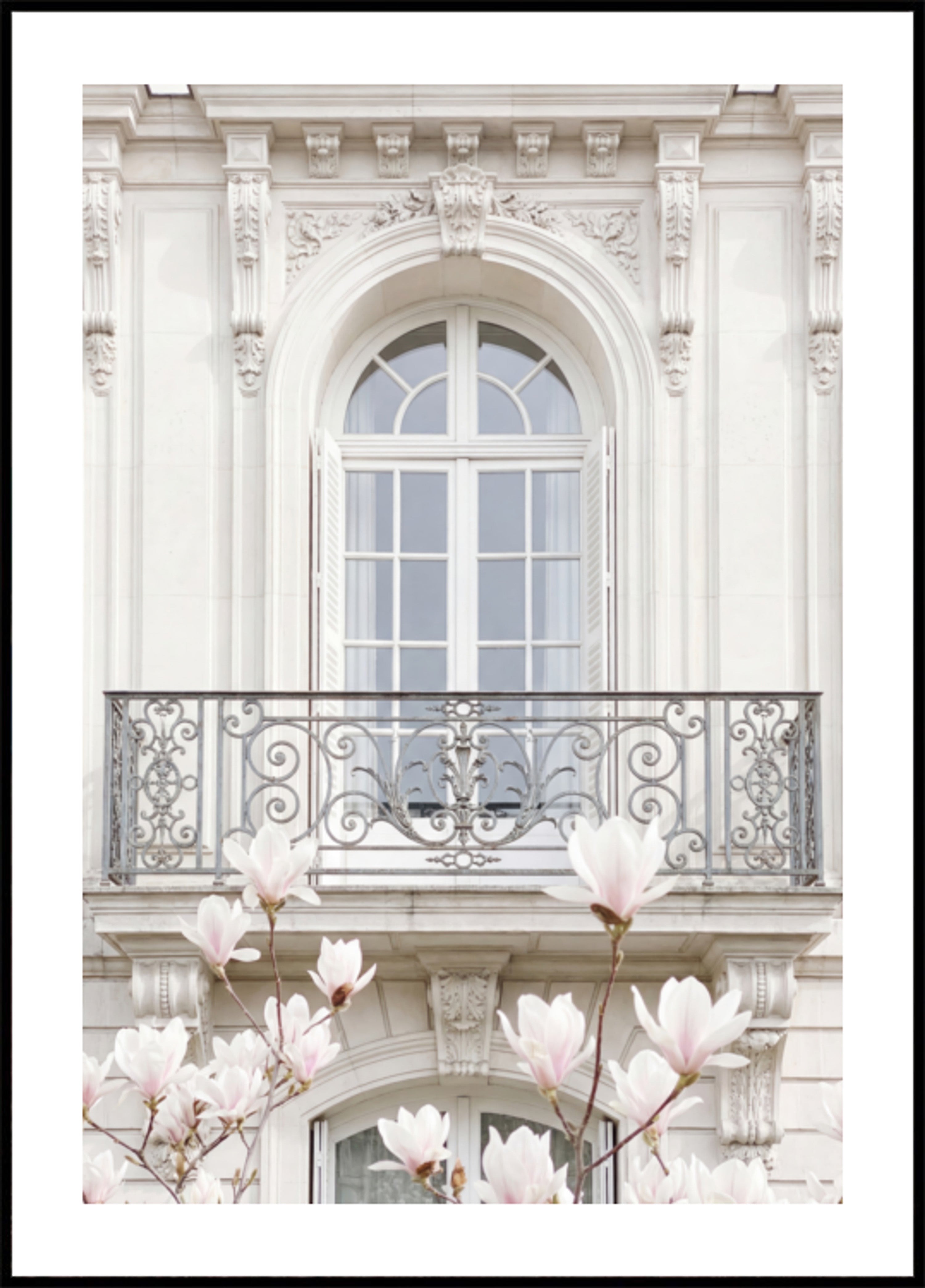 Magnolie bianche della facciata