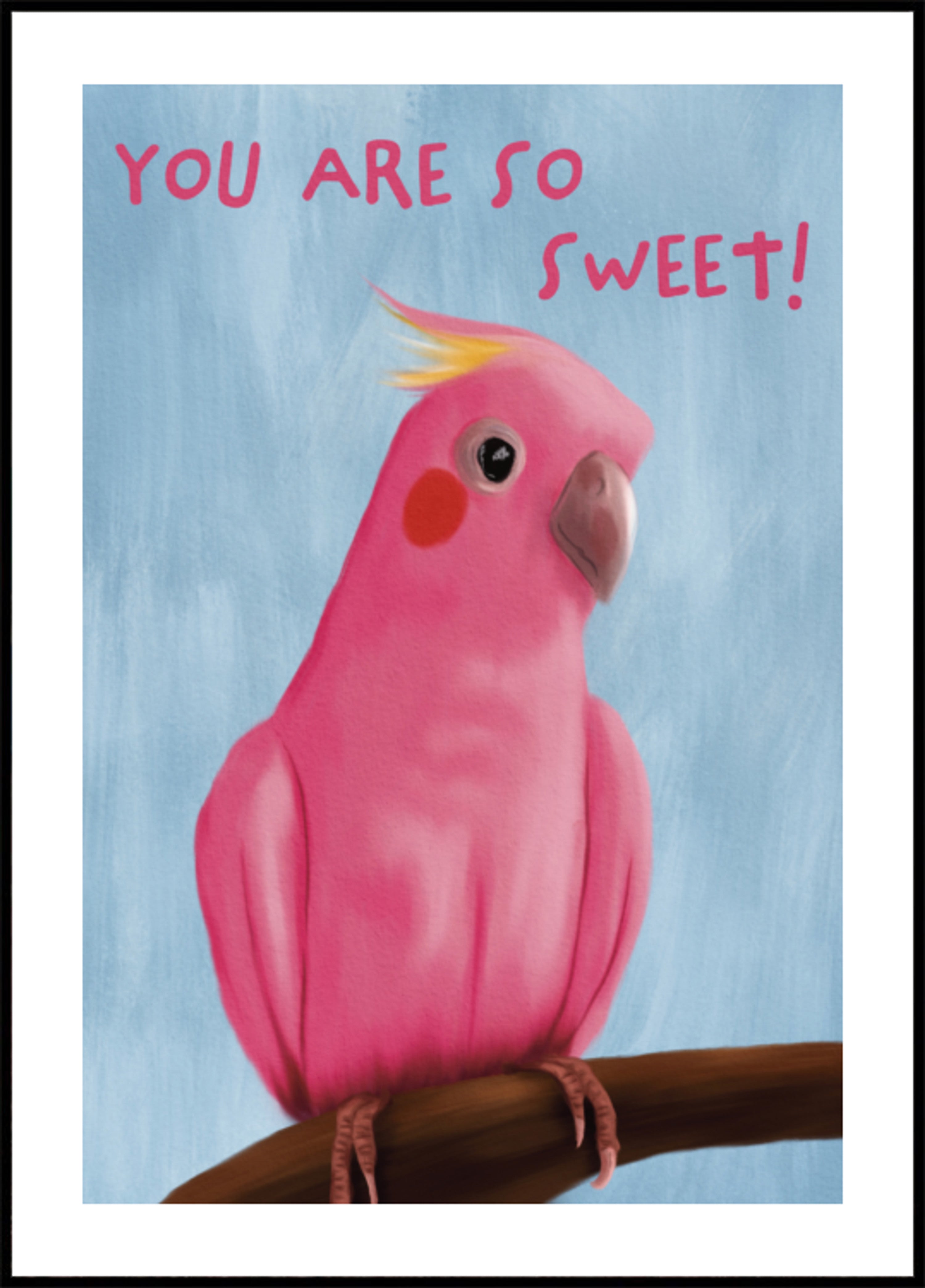 Dolce Galah rosa