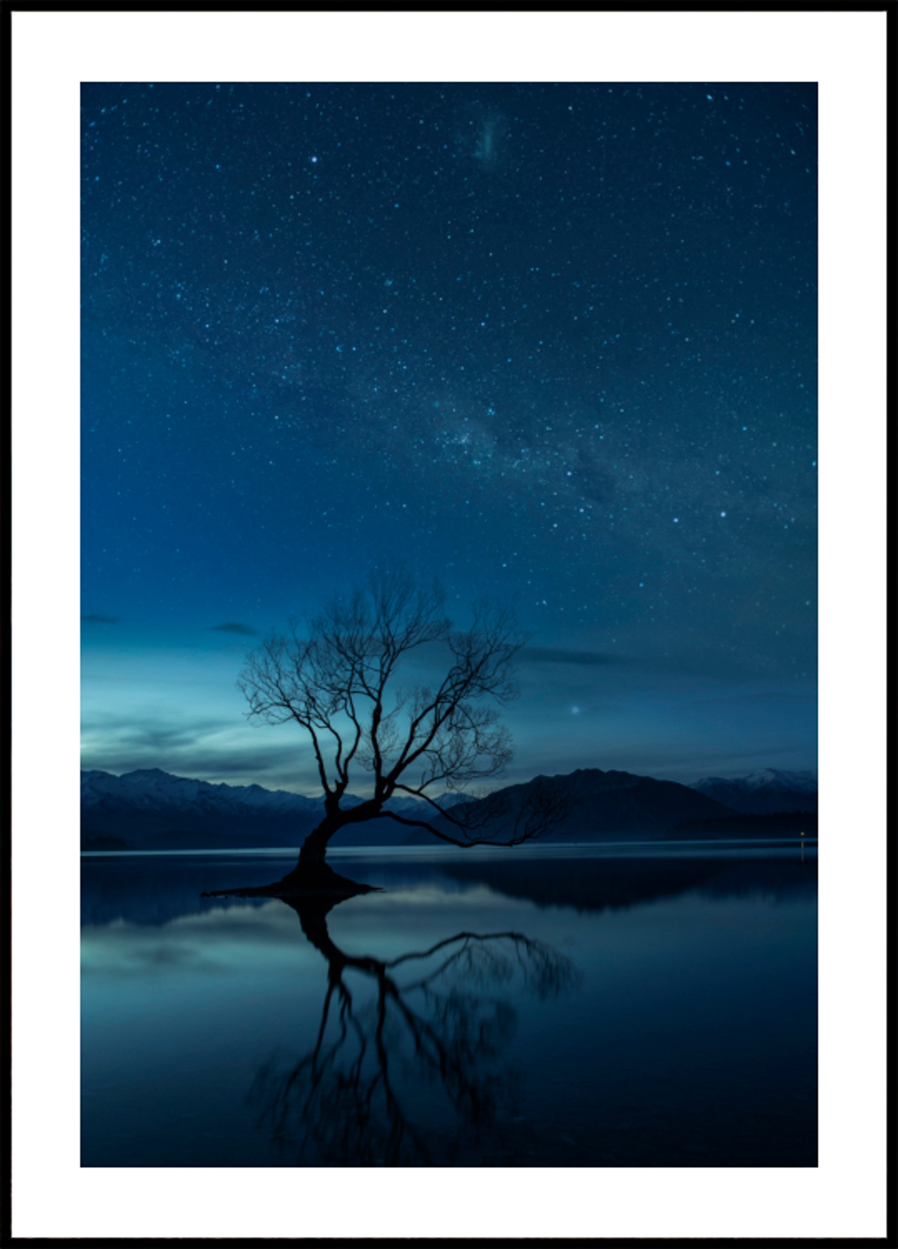 Notte stellata dell'albero solitario