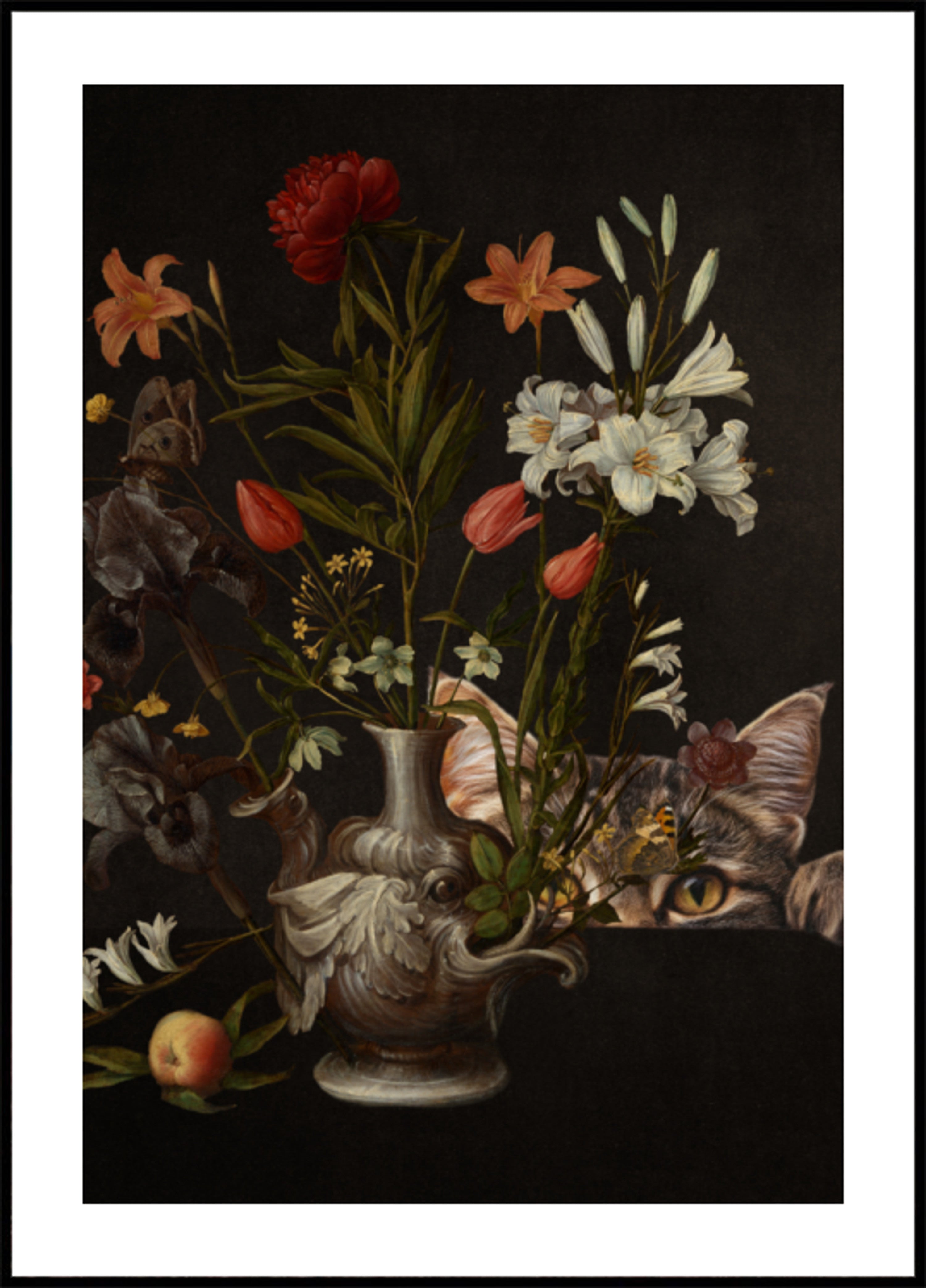 Fiori di gatto curioso