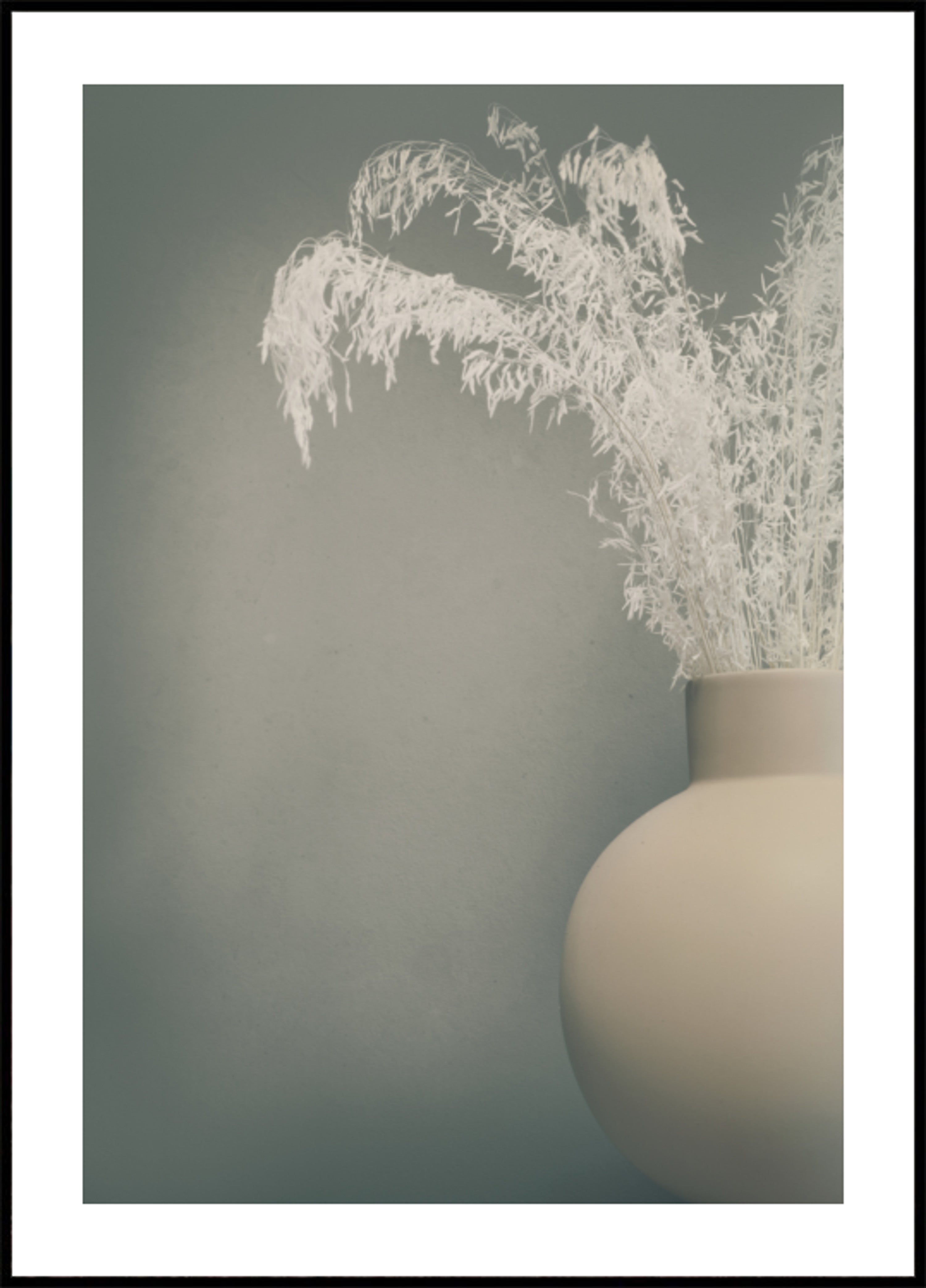 Vaso botanico essiccato sereno