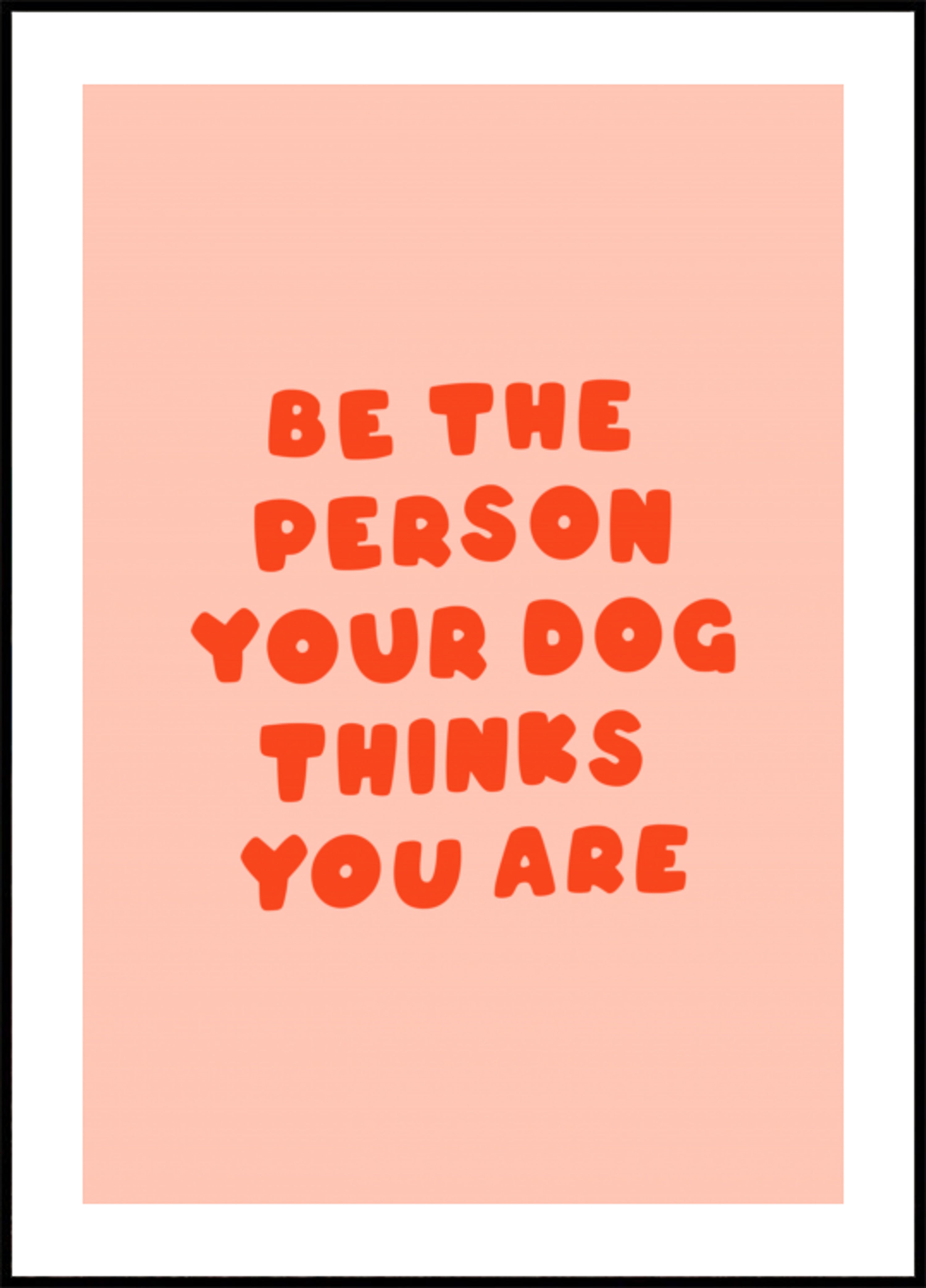 La persona preferita del cane